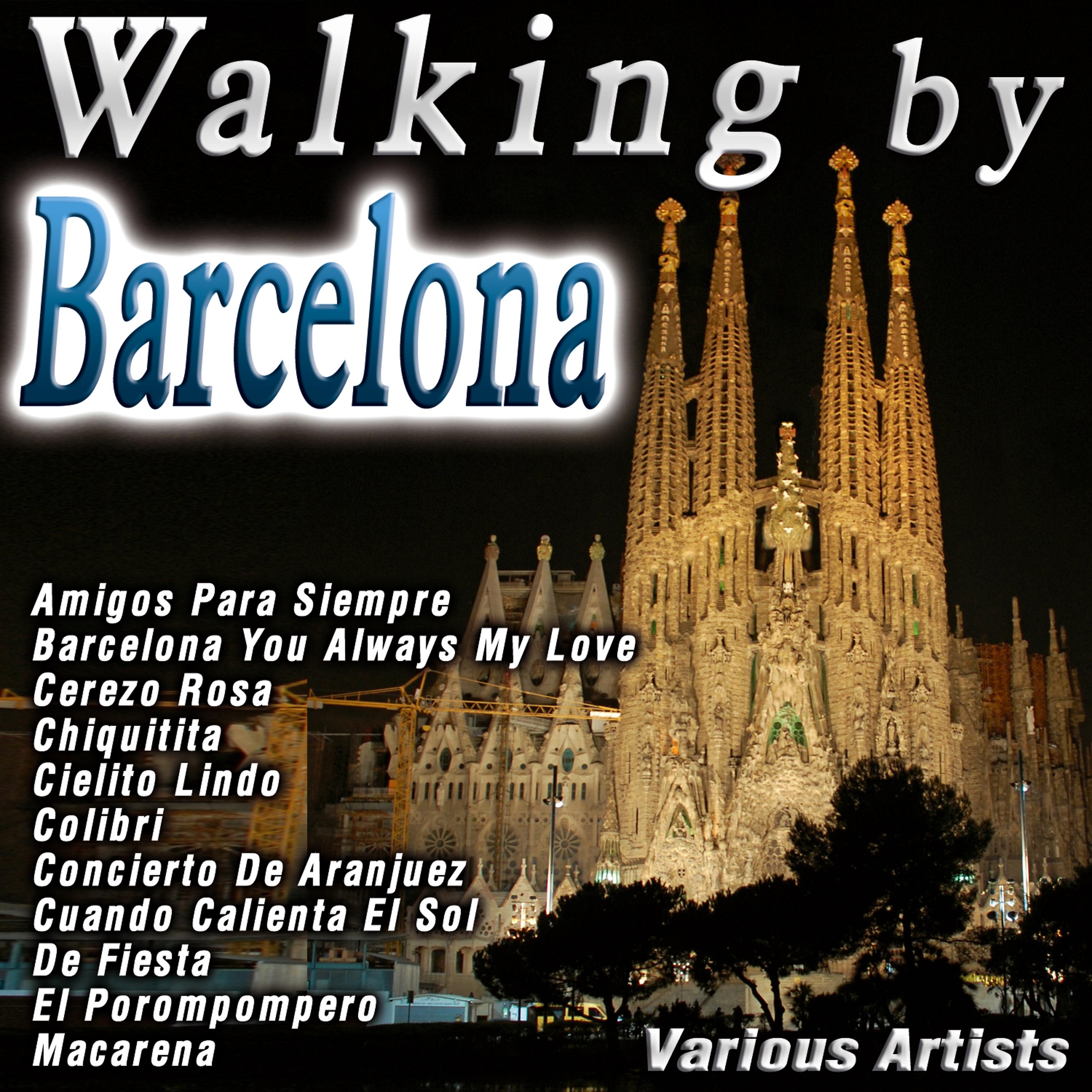 Постер альбома Walking By Barcelona