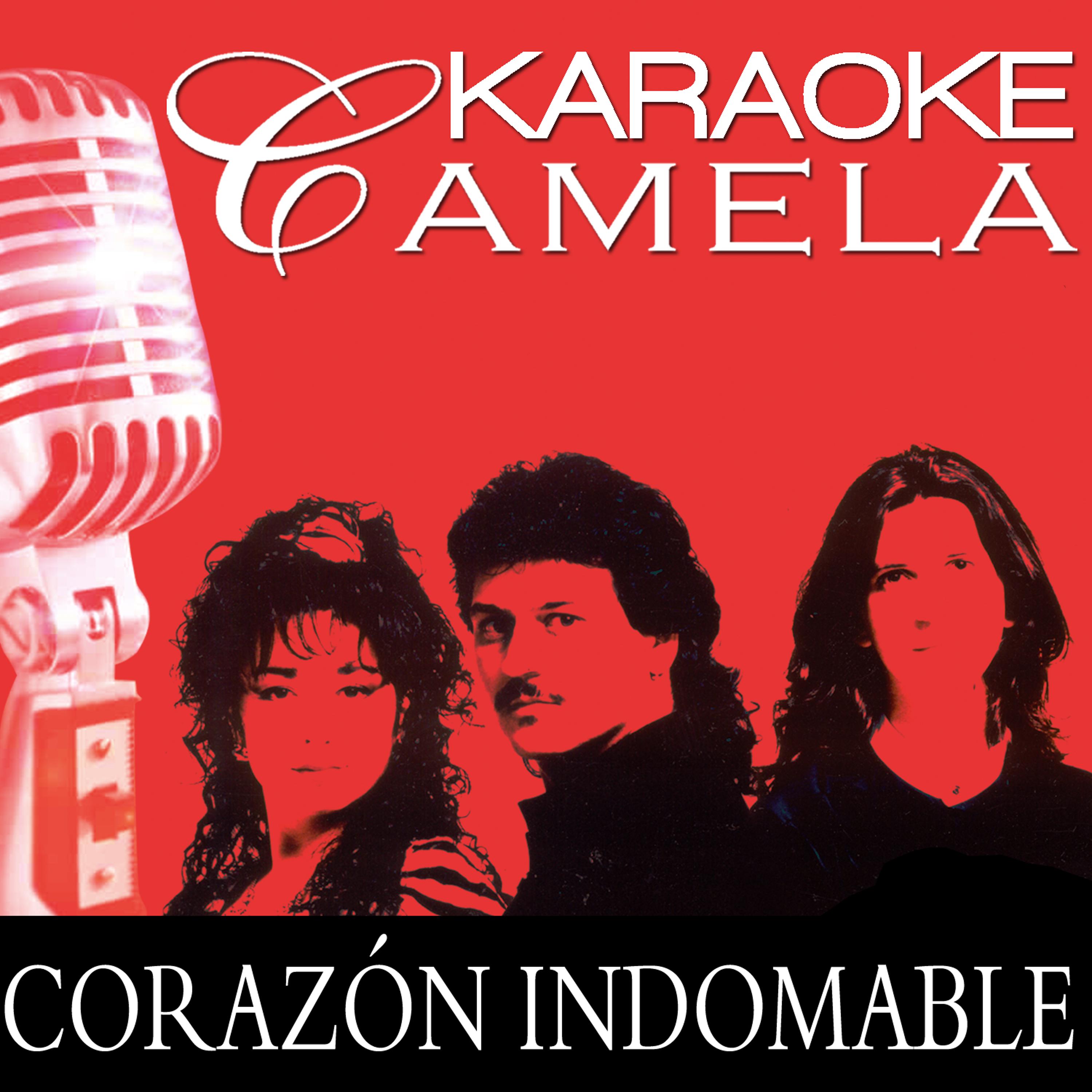 Постер альбома Karaoke Camela Corazon Indomable Playback