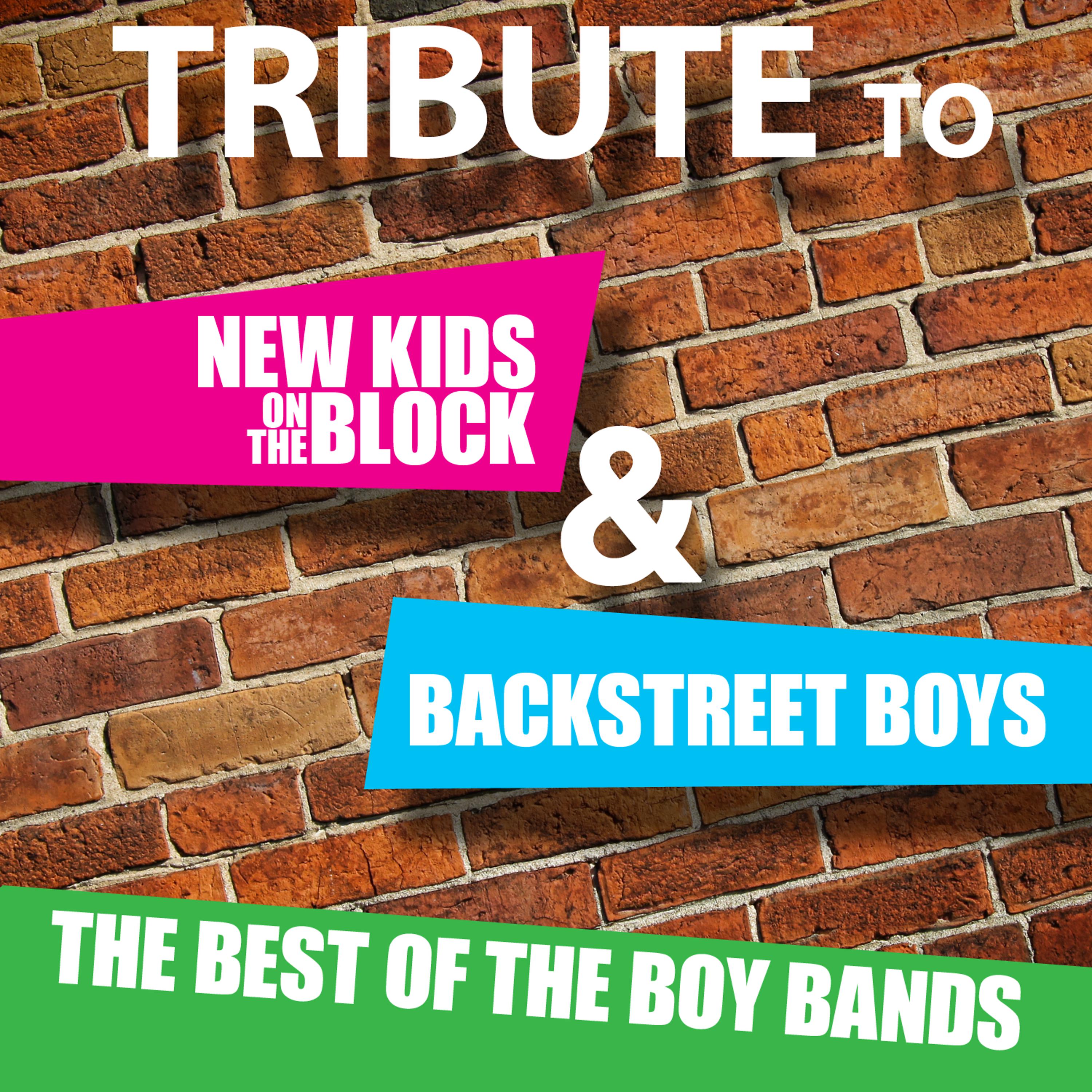 Постер альбома Tribute to New Kids On The Block and Backstreet Boys: The Best of the Boy Bands