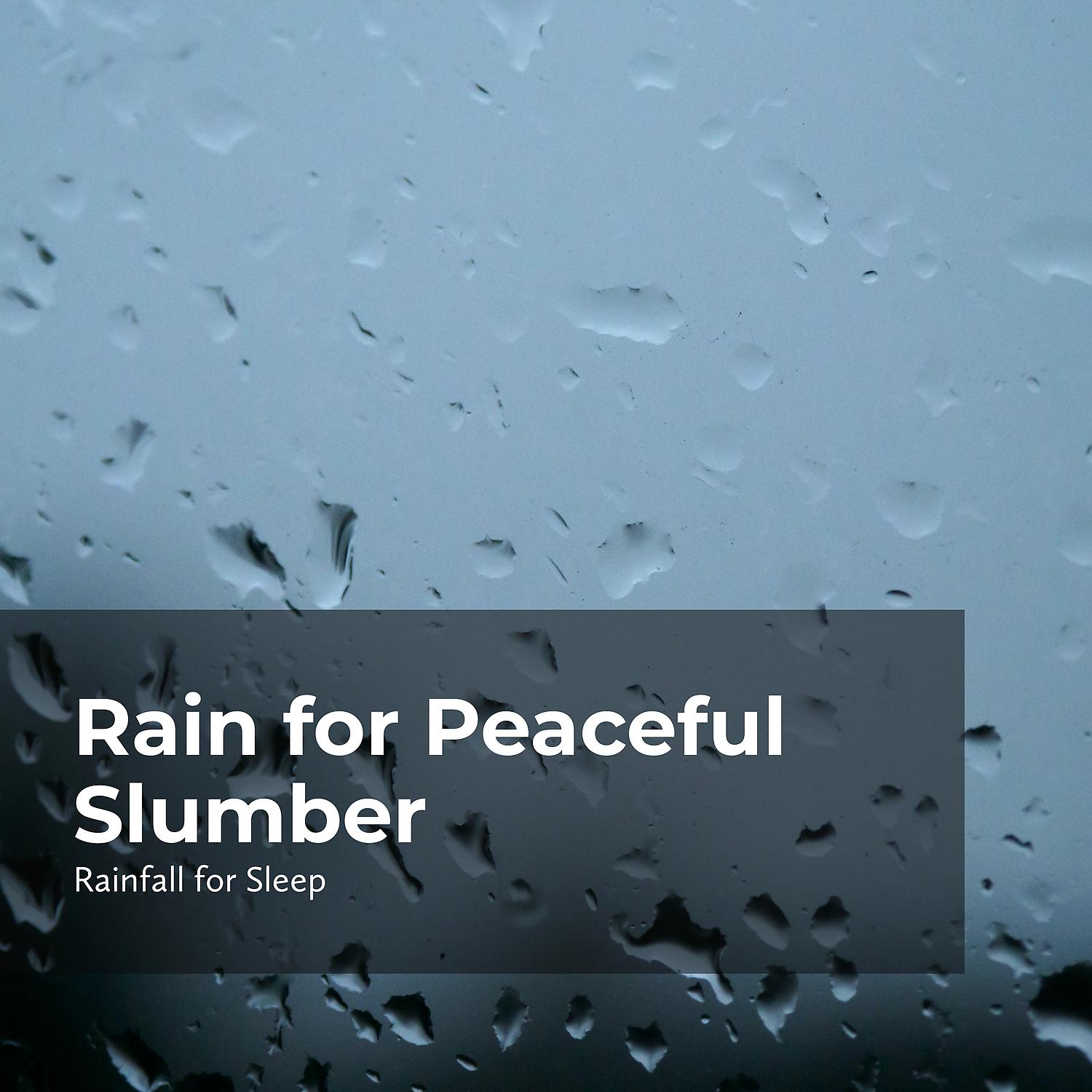 Постер альбома Rain for Peaceful Slumber