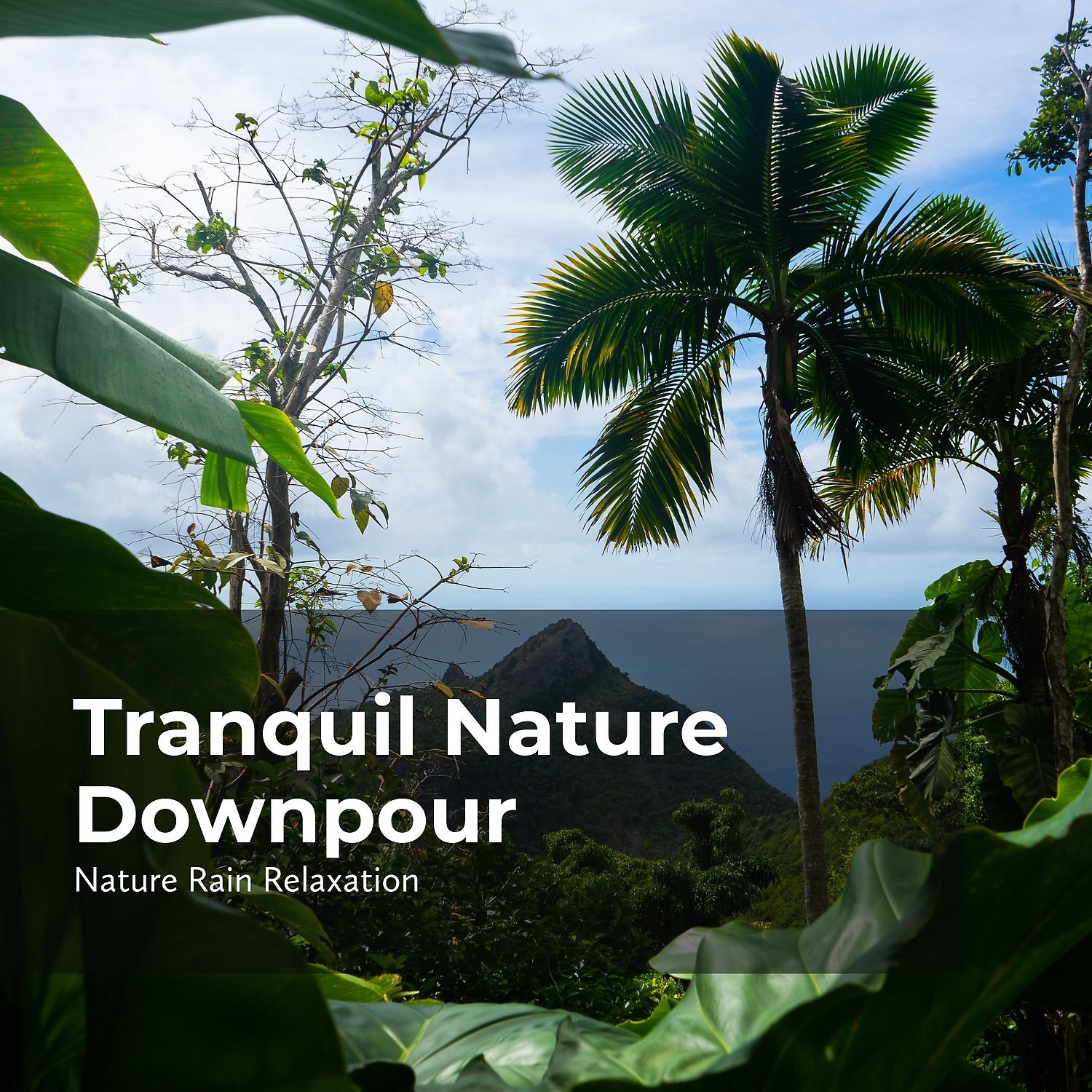 Постер альбома Tranquil Nature Downpour