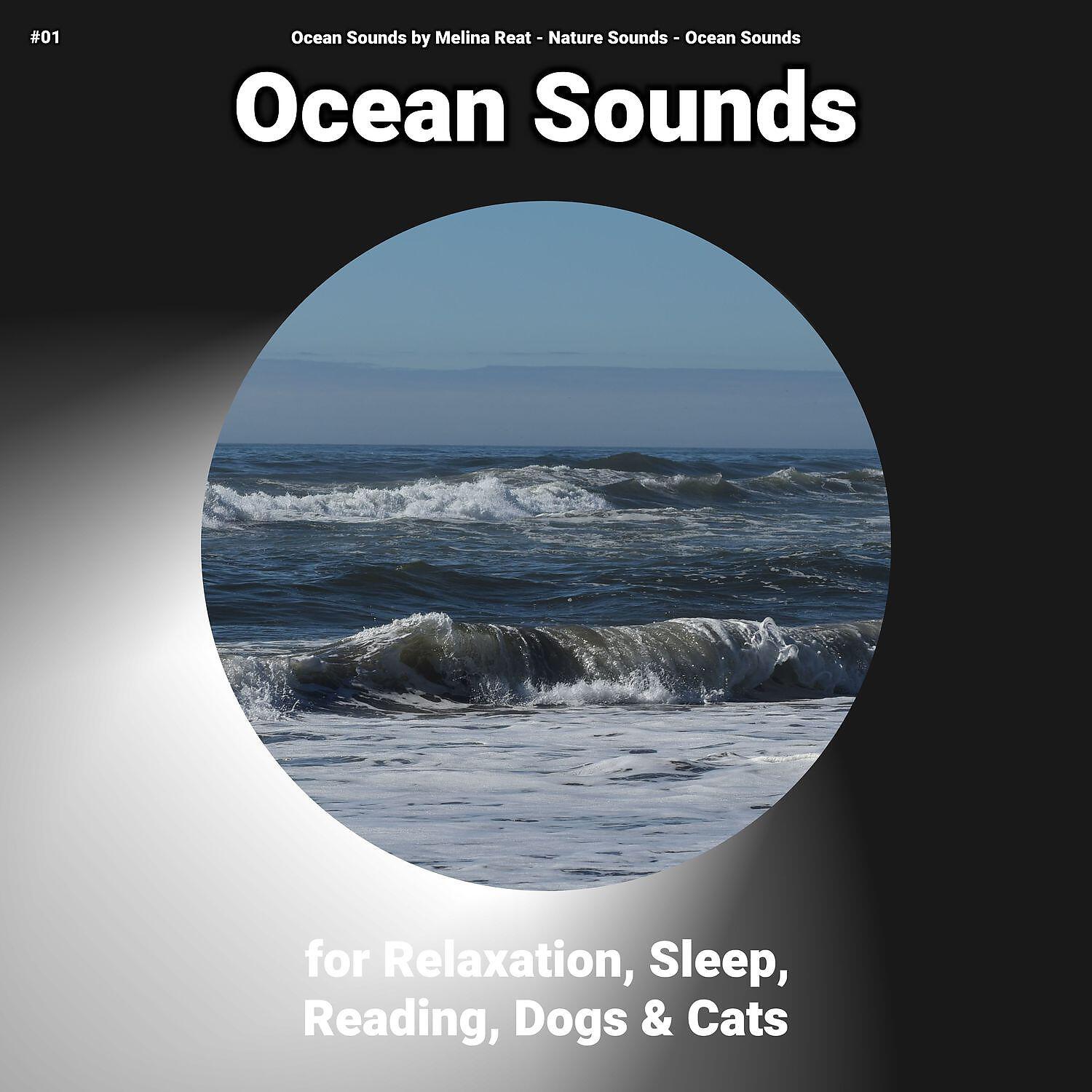 Ocean Sounds - Ocean Sounds for Relaxation and Sleep Pt. 7