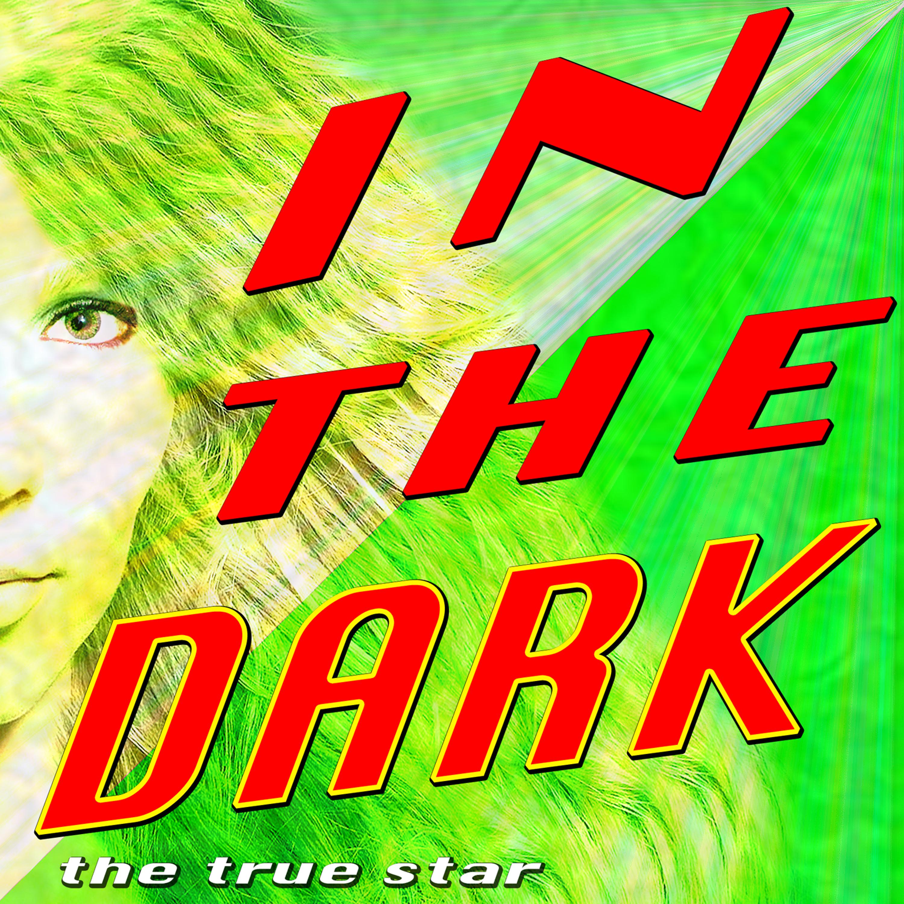 Постер альбома In The Dark (Tribute Dev)