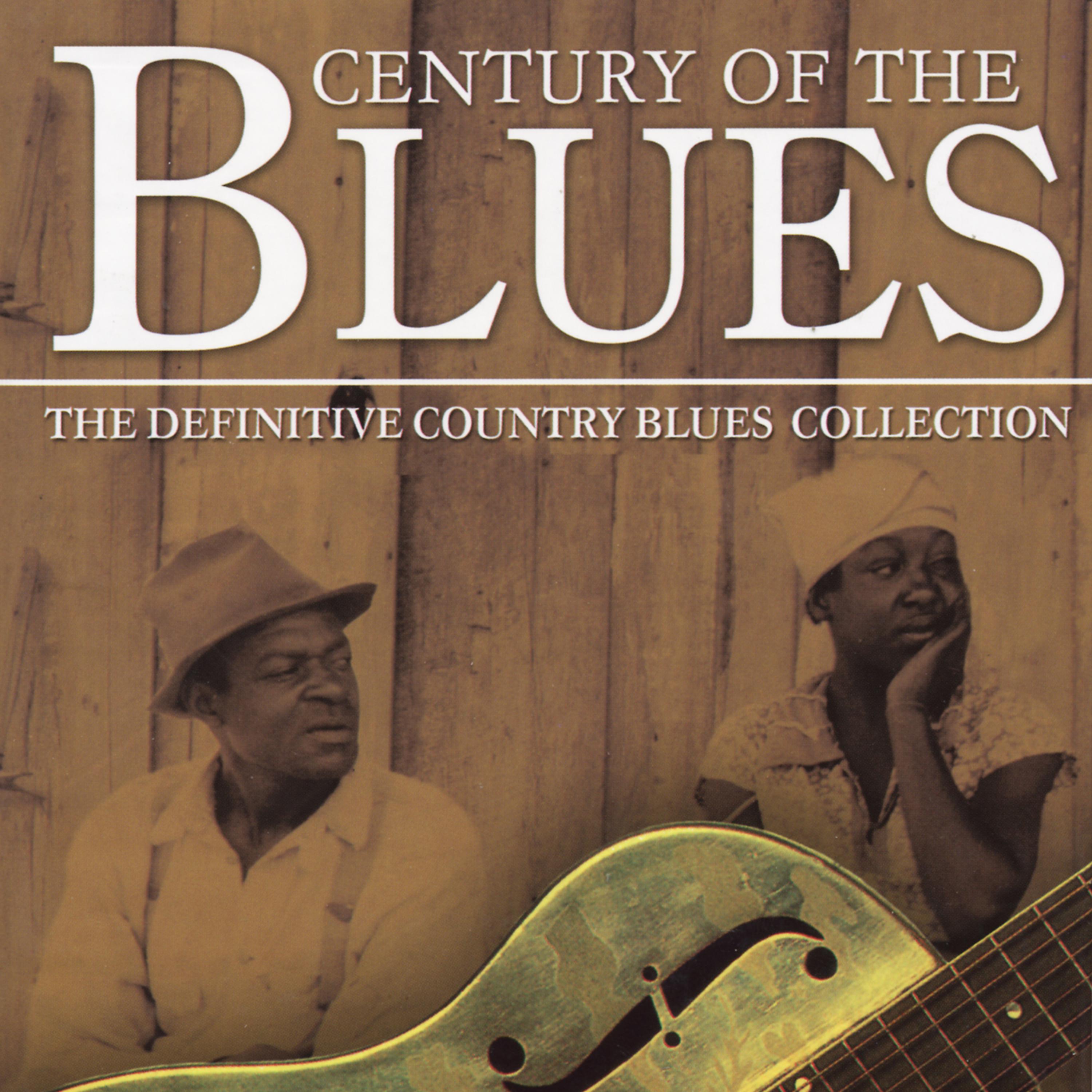 Постер альбома Century Of The Blues - The Definitive Country Blues Collection