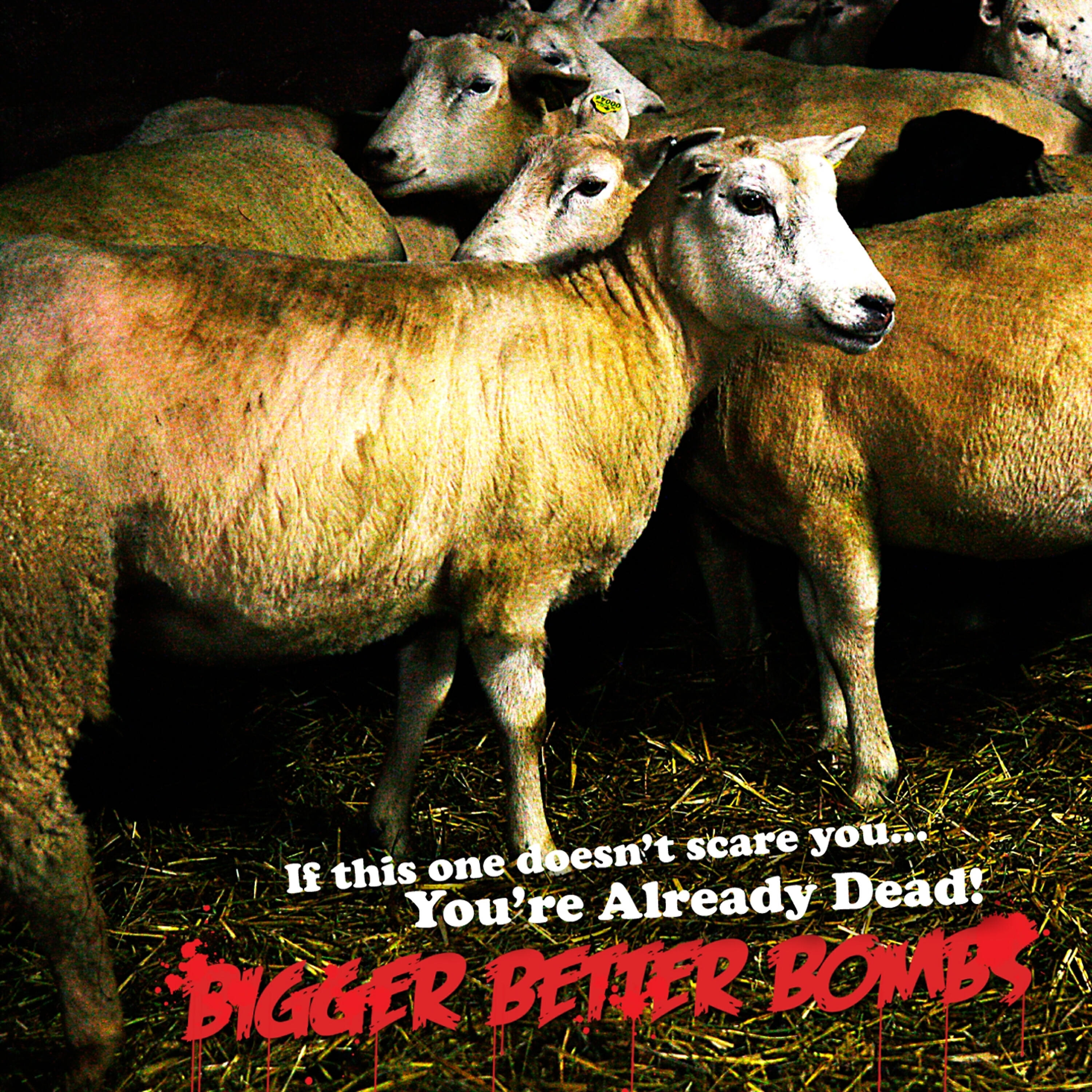 Bigger Better Bombs - Bite it you scum (GG Allin)