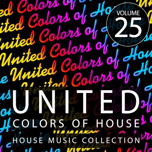 Постер альбома United Colors of House, Vol. 25