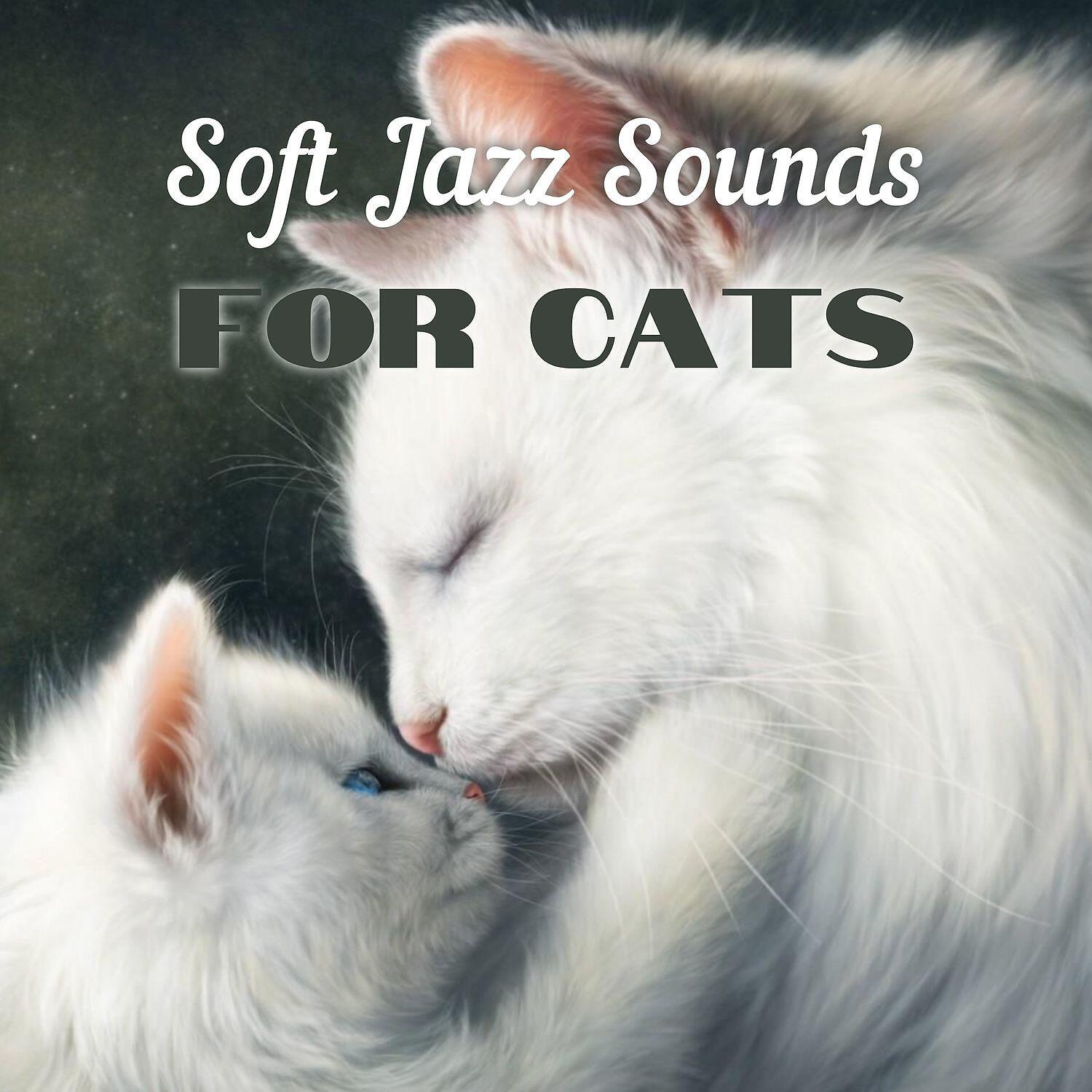 Music For Cats Peace - Pet Care Therapy