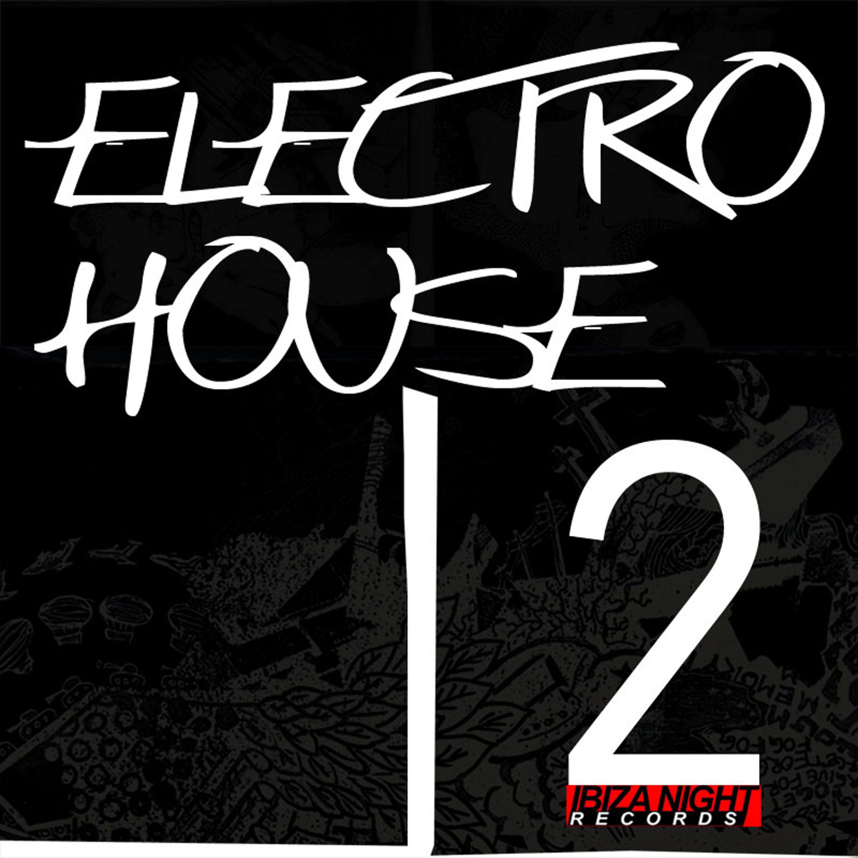 Постер альбома Electro House Vol. 2