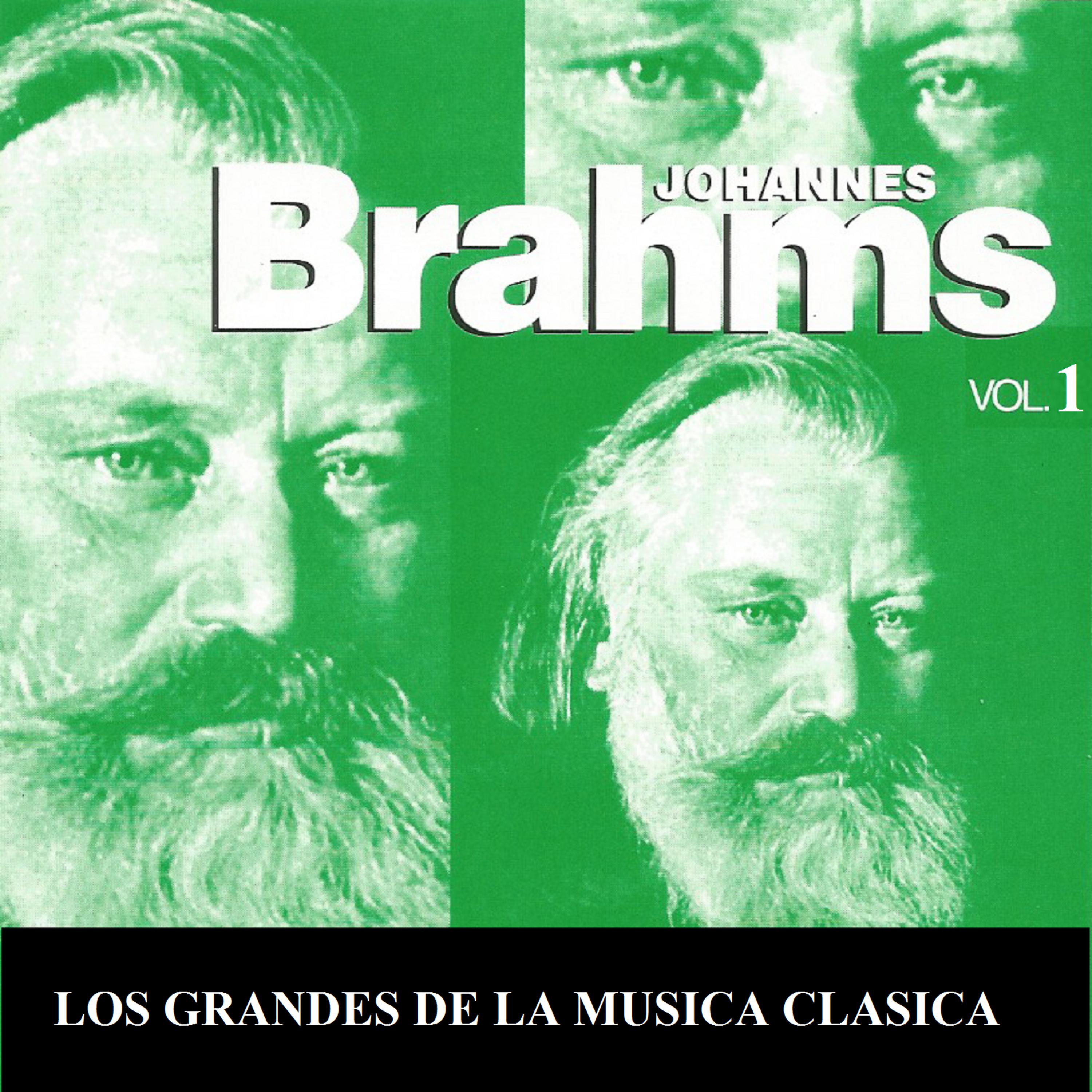 Постер альбома Los Grandes de la Musica Clasica - Johannes Brahms Vol. 1