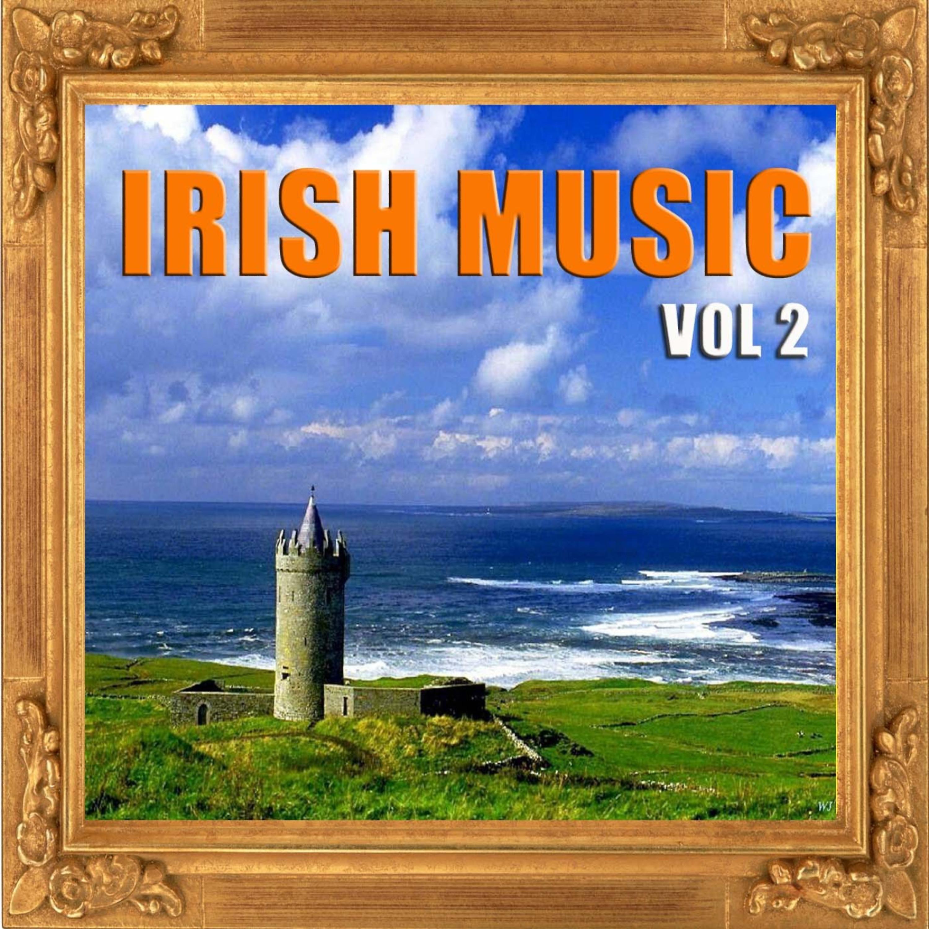 Постер альбома Irish Music, Vol. 2
