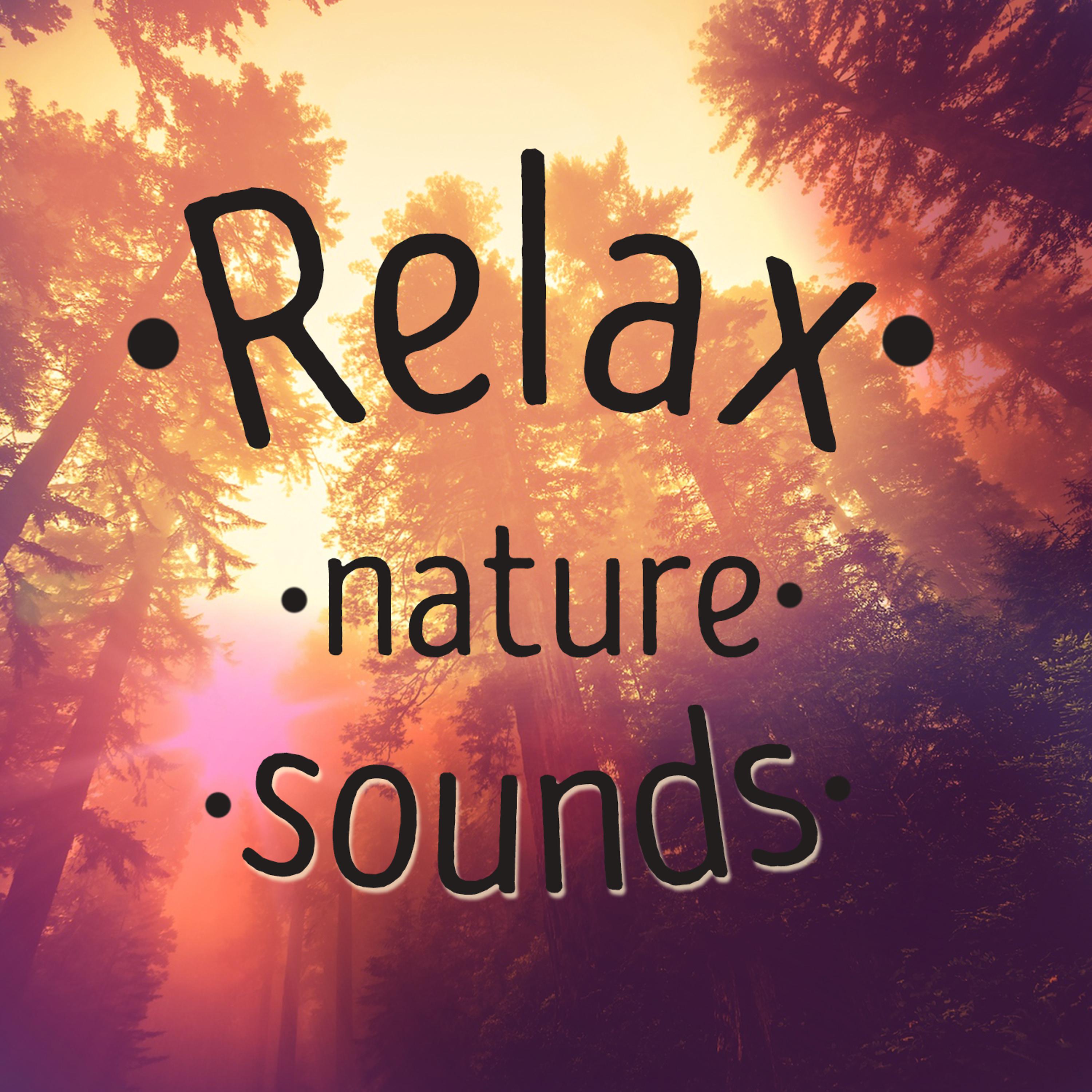 Постер альбома Relax: Nature Sounds
