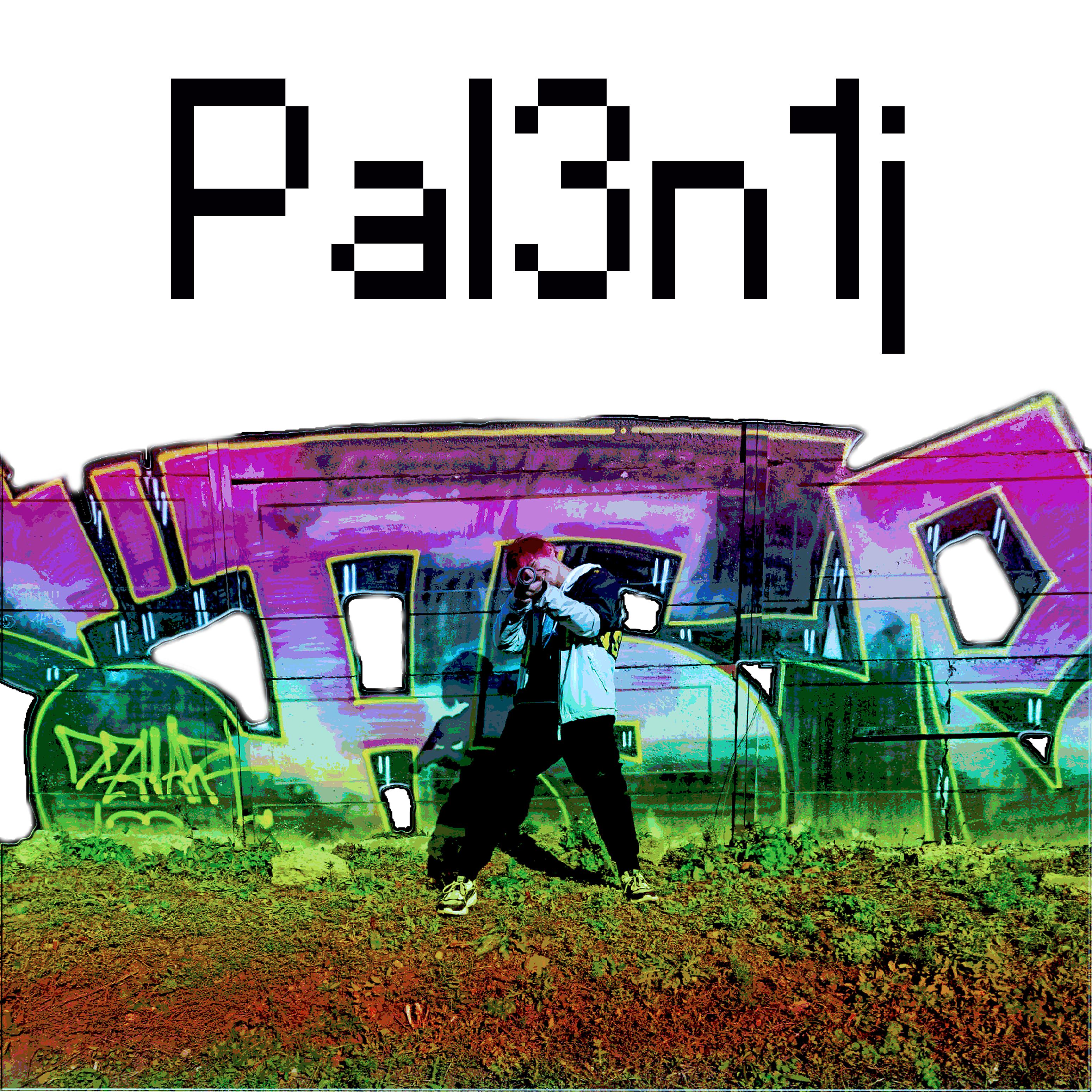 Постер альбома Pal3n1j