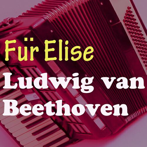 Archibald Busch - Für Elise, WoO 59 (Regenwald Akkordeon Version)