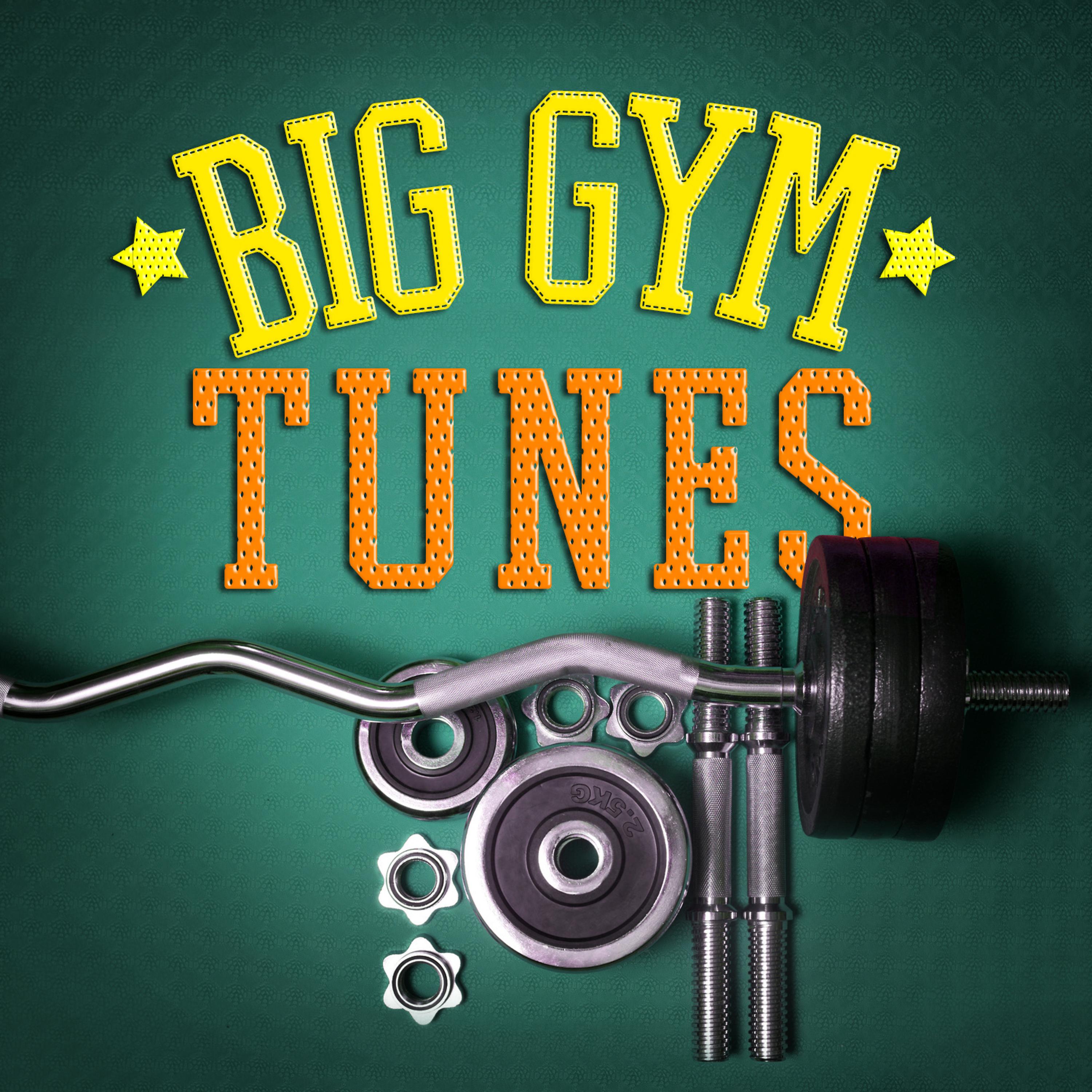 Постер альбома Big Gym Tunes