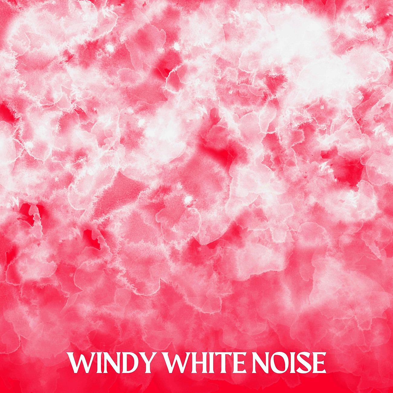 Постер альбома Windy White Noise