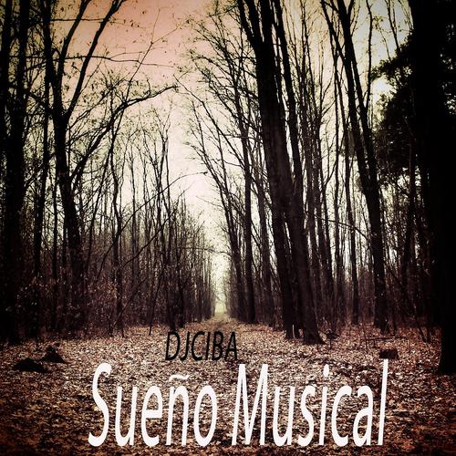 Постер альбома Sueño Musical