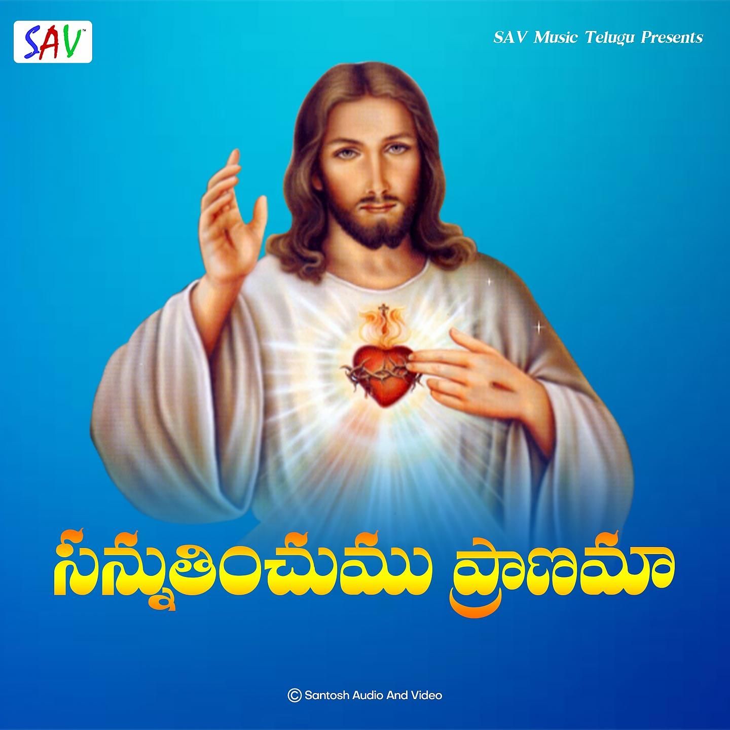 Постер альбома Sannuthinchumu Pranamaa