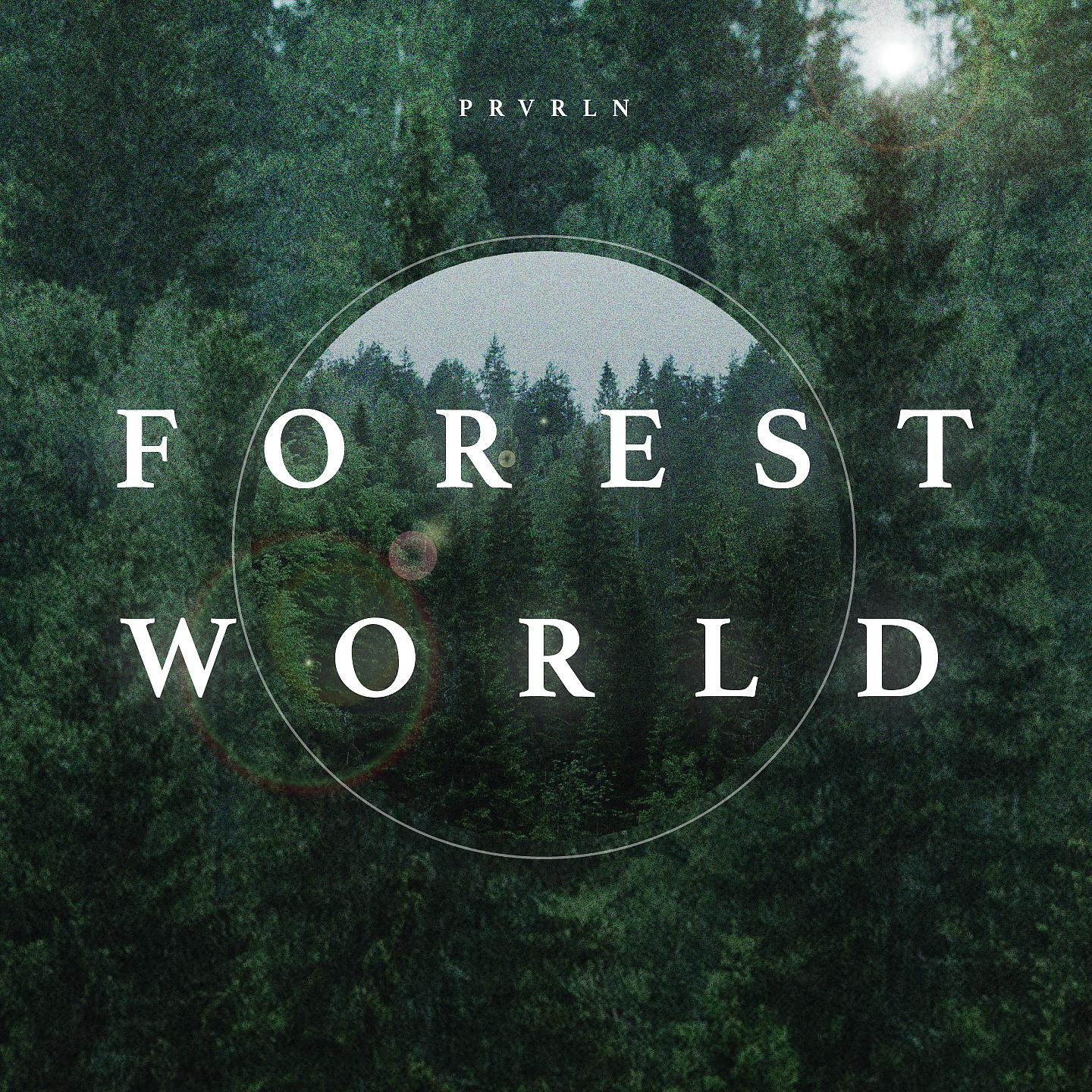 Постер альбома Forest World