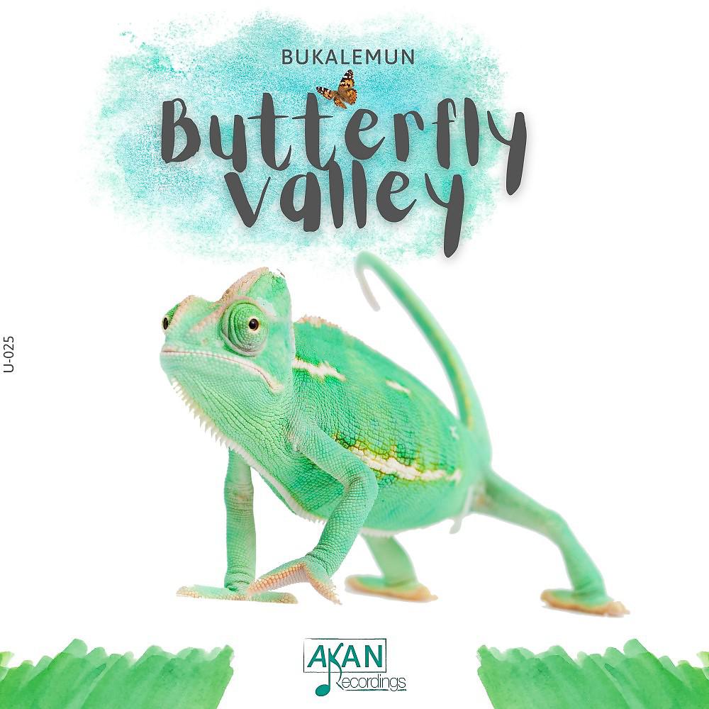Постер альбома Butterfly Valley