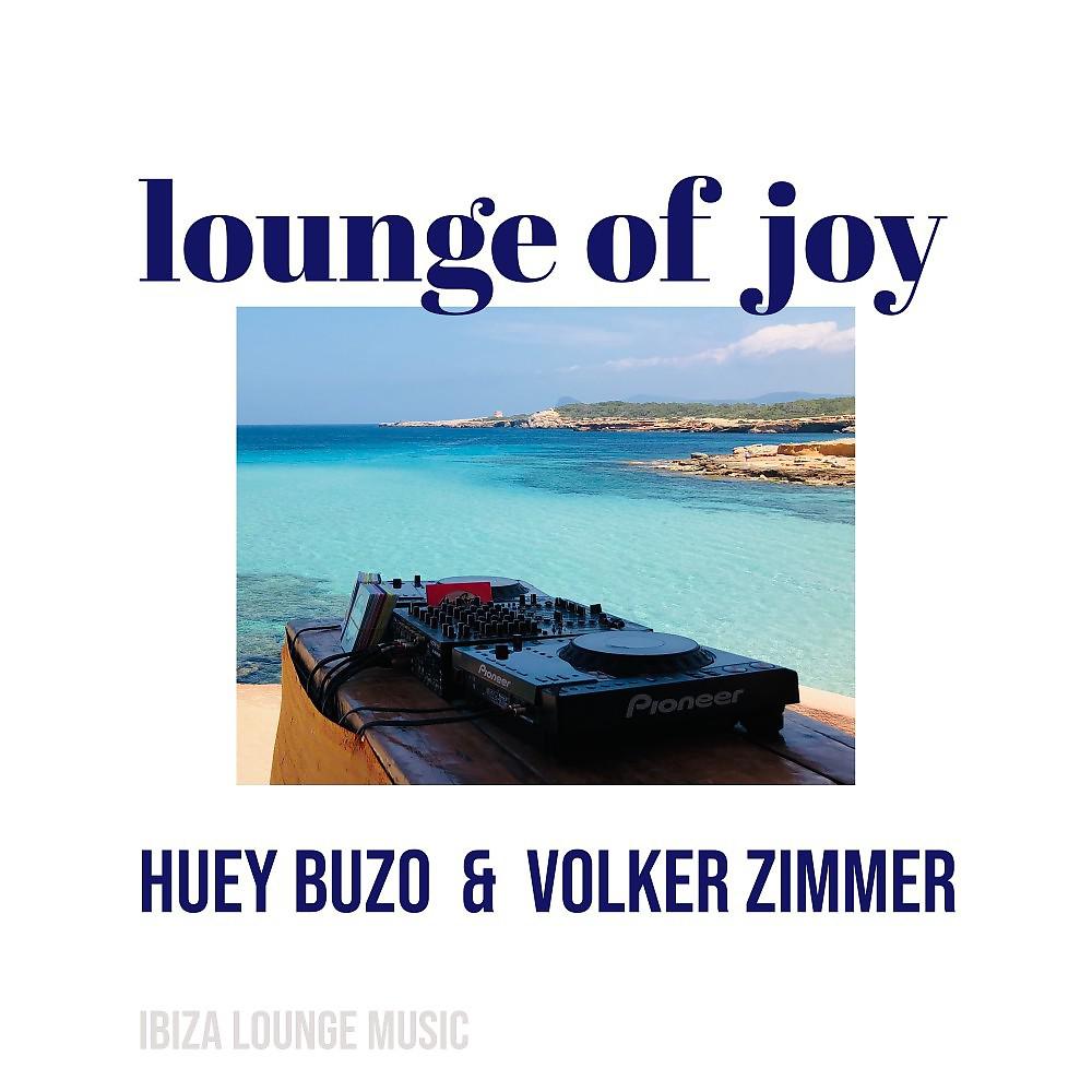 Постер альбома Lounge of Joy (Radio Mix)