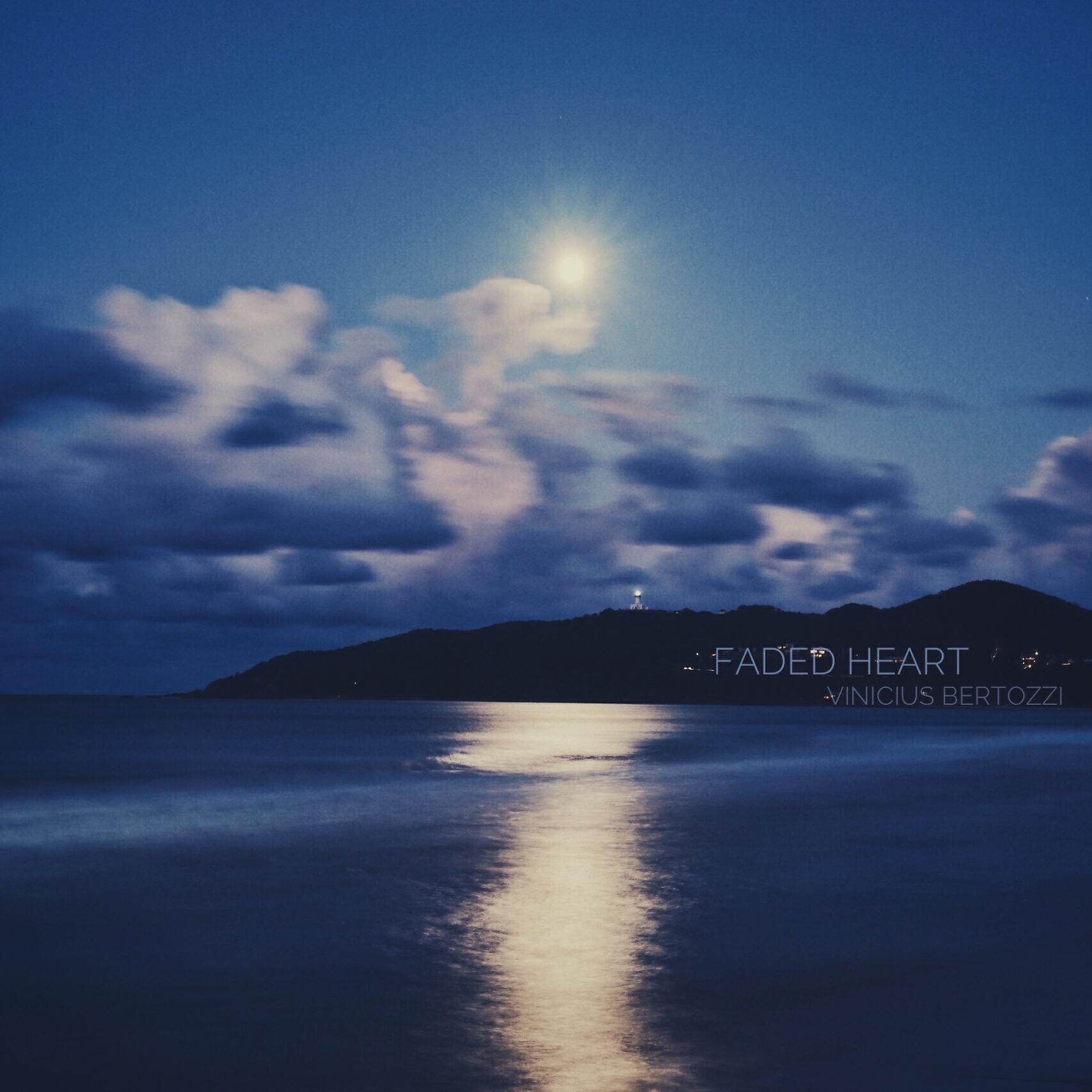 Vinicius Bertozzi - Faded Heart