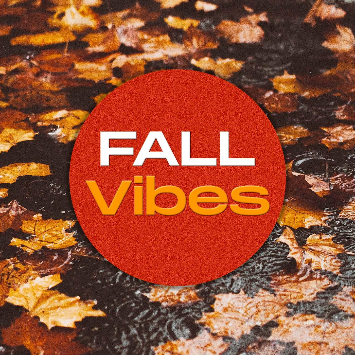Постер альбома Fall Vibes