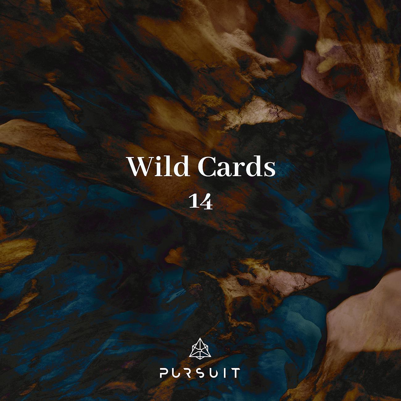 Постер альбома Wild Cards 14