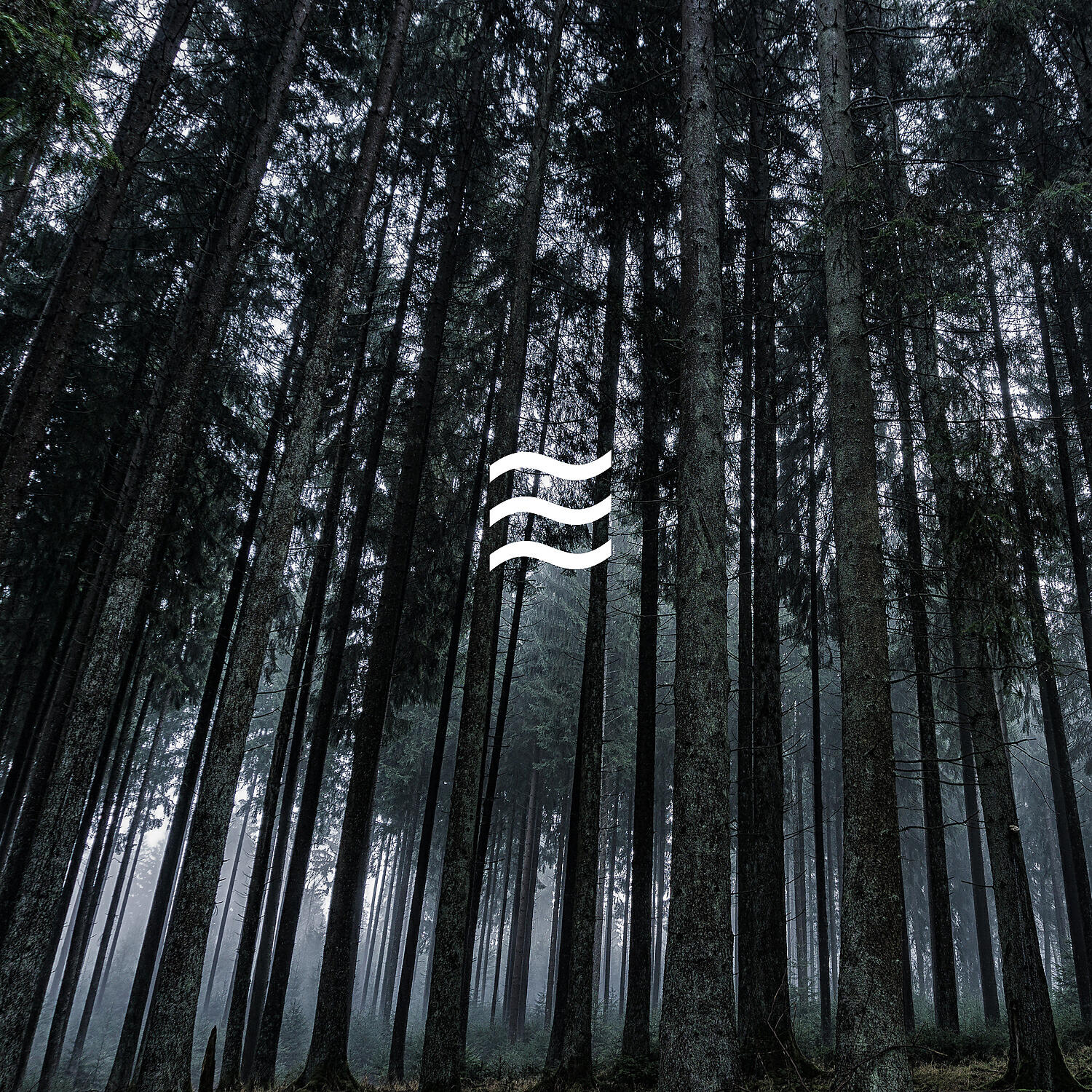 Sleepful Soughs and Forest - Calming Forest Noises with Soughs for Sleep