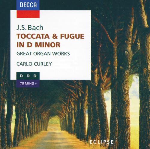 Постер альбома Bach, J.S.: Great Organ Works - Toccata & Fugue in D minor, Sinfonia in D etc.