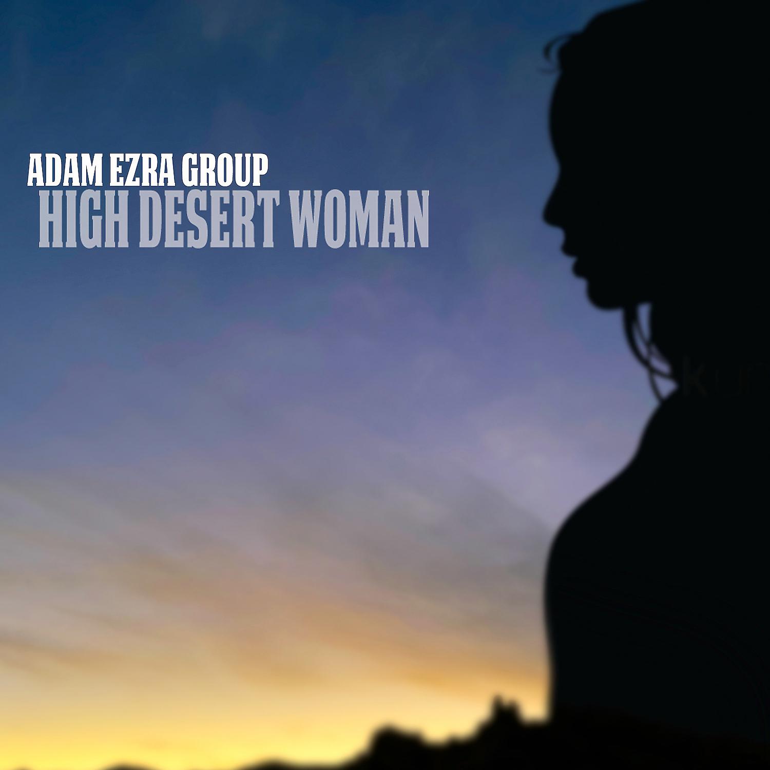 Постер альбома High Desert Woman (feat. Jerry Douglas)
