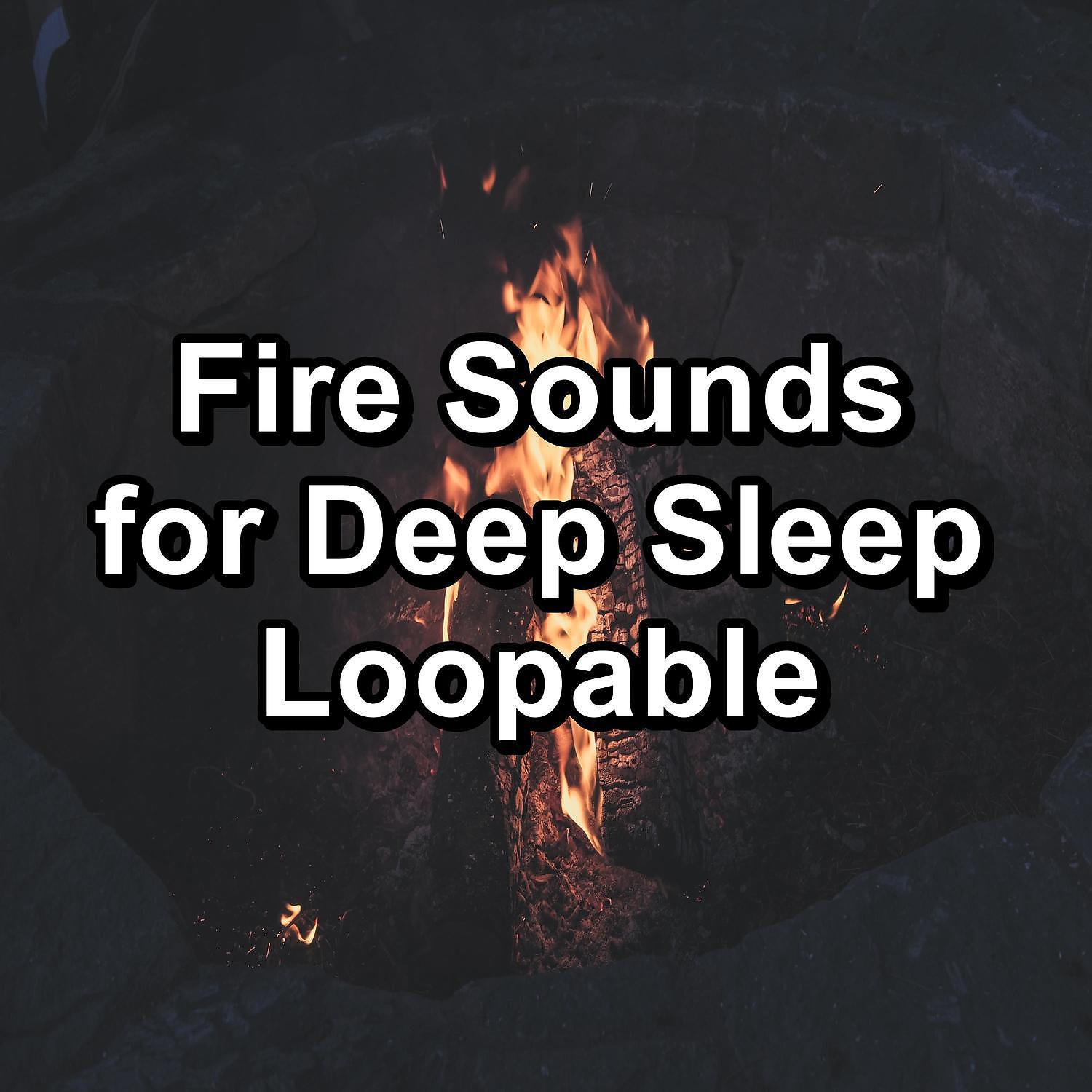 Campfire Sounds - Cozy Campfire in the Forest Instant Rest for Babies