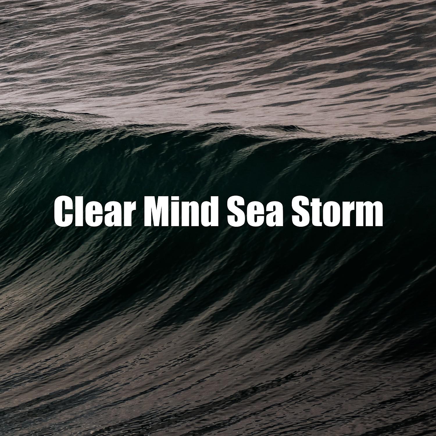 Постер альбома Clear Mind Sea Storm
