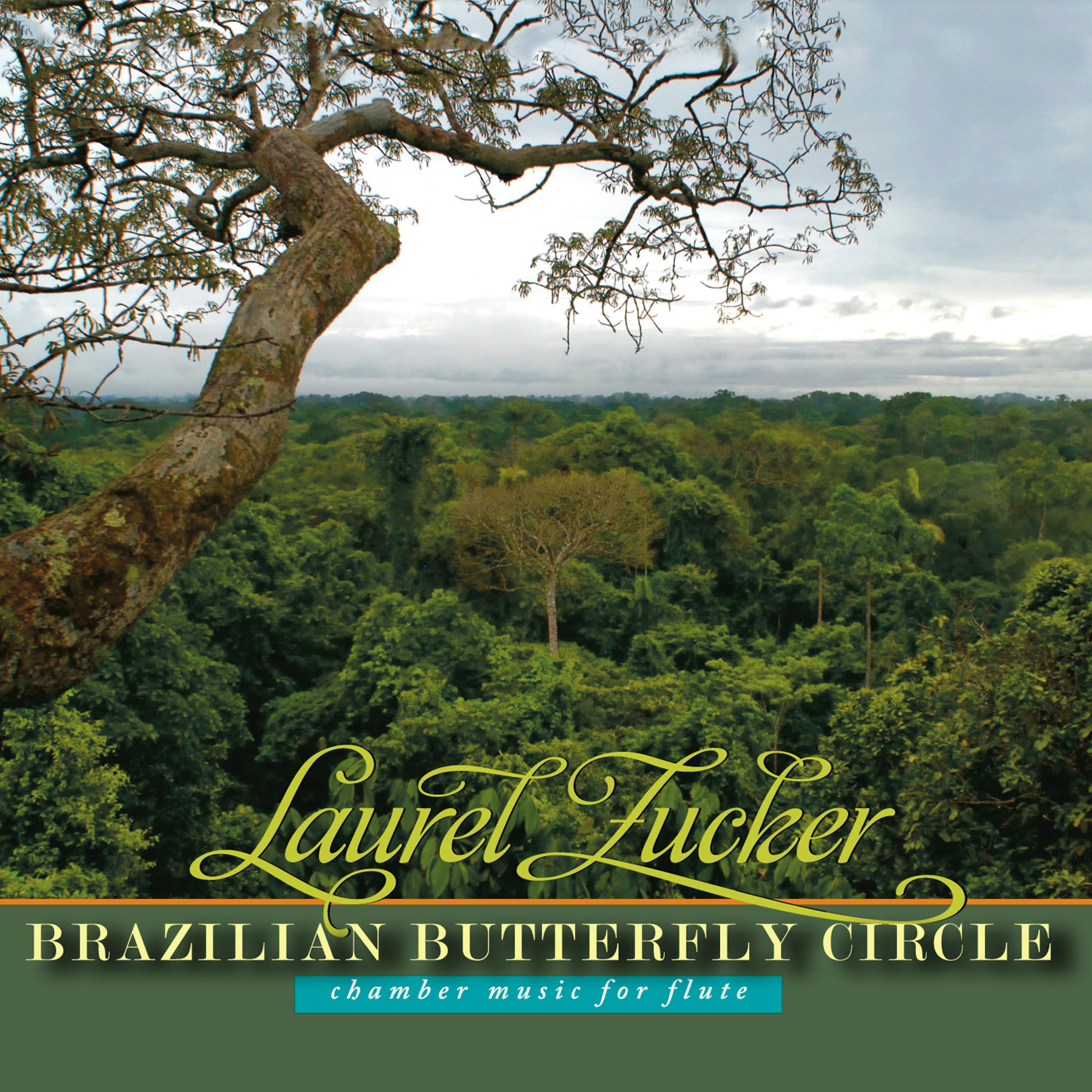 Постер альбома Brazilian Butterfly Circle: Chamber Music for Flute