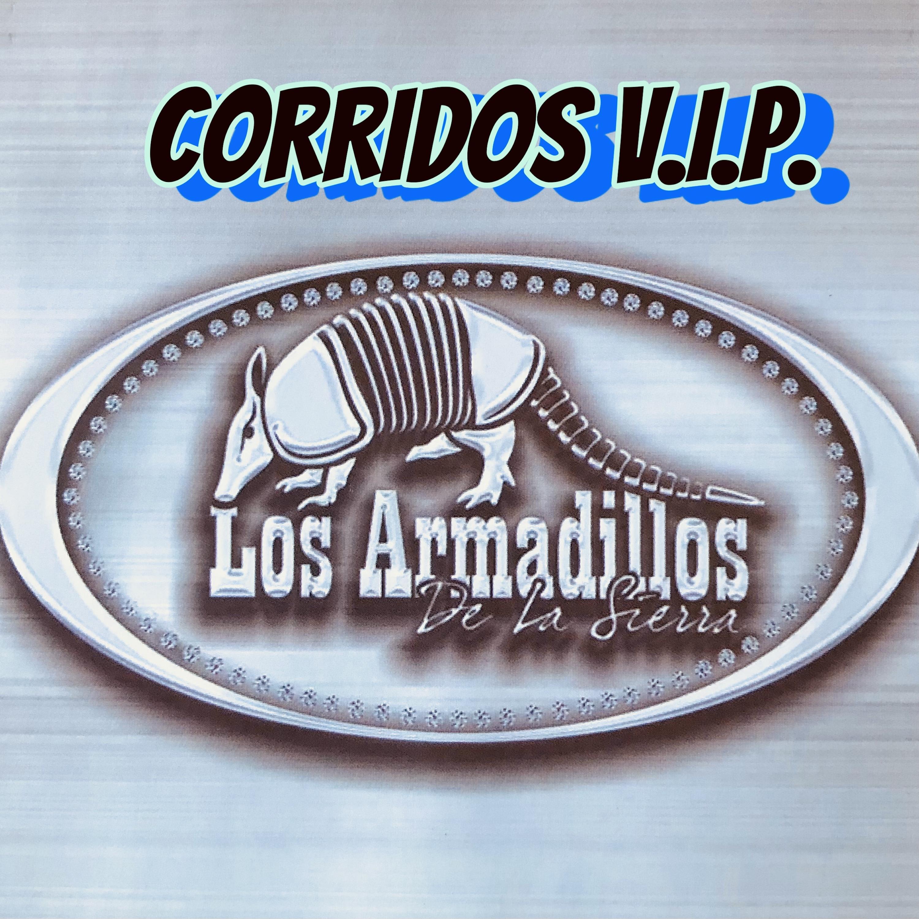 Постер альбома Corridos V.I.P.