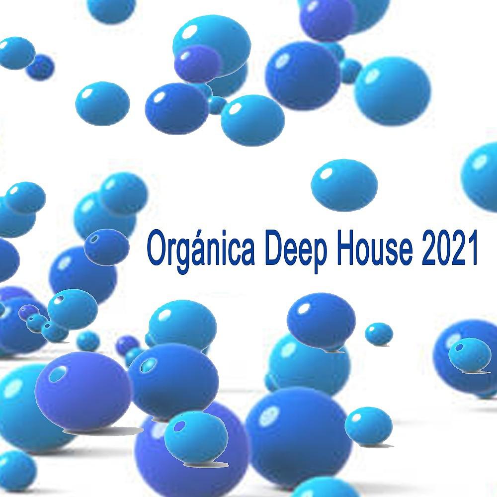 Постер альбома Orgánica Deep House 2021 ( The Finest Organic Ethnic House, Downtempo, Dreamy House, Nomadic & Melodic Techno Songs to Ease Your Mind)