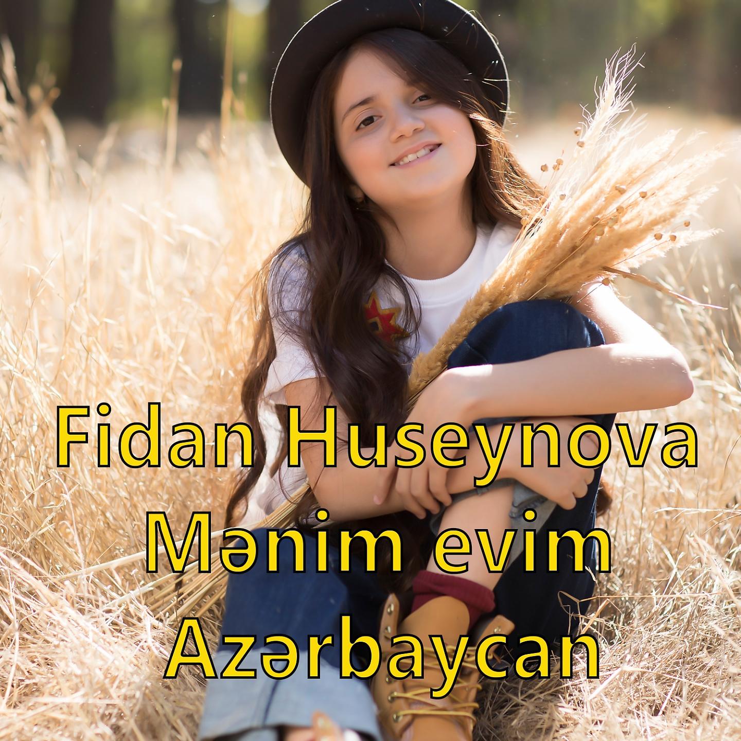 Постер альбома Mənim evim Azərbaycan