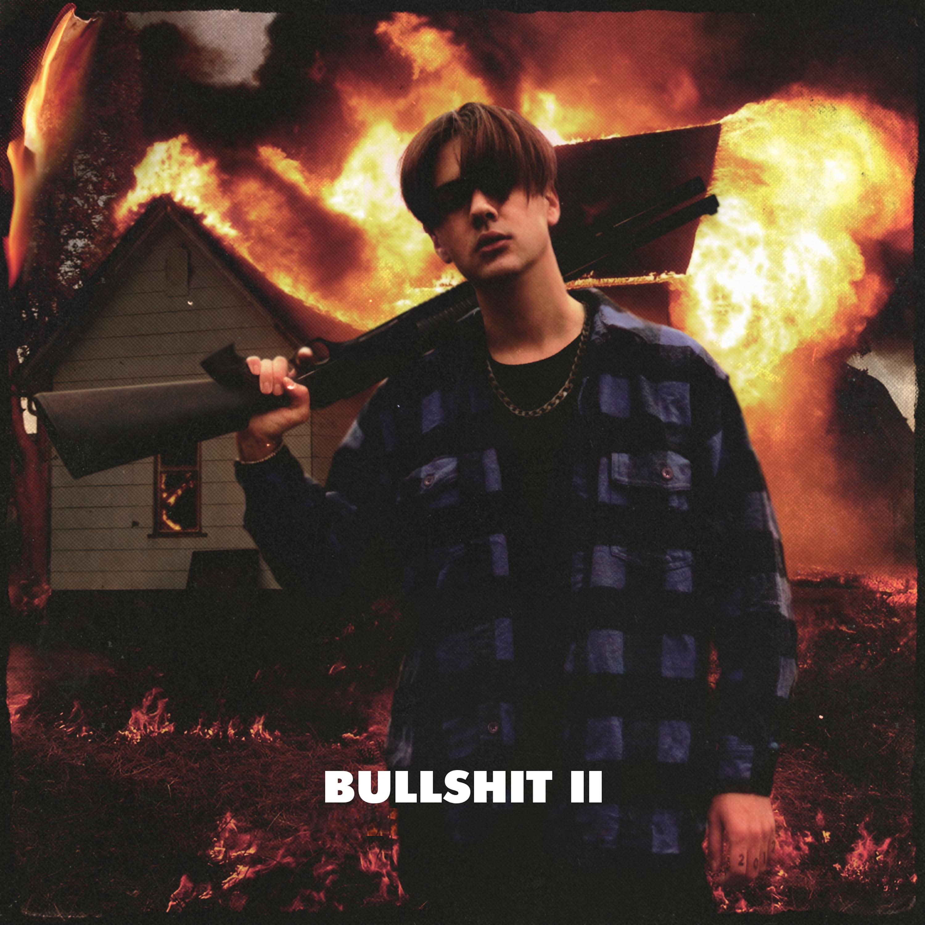 Постер альбома Bullshit II