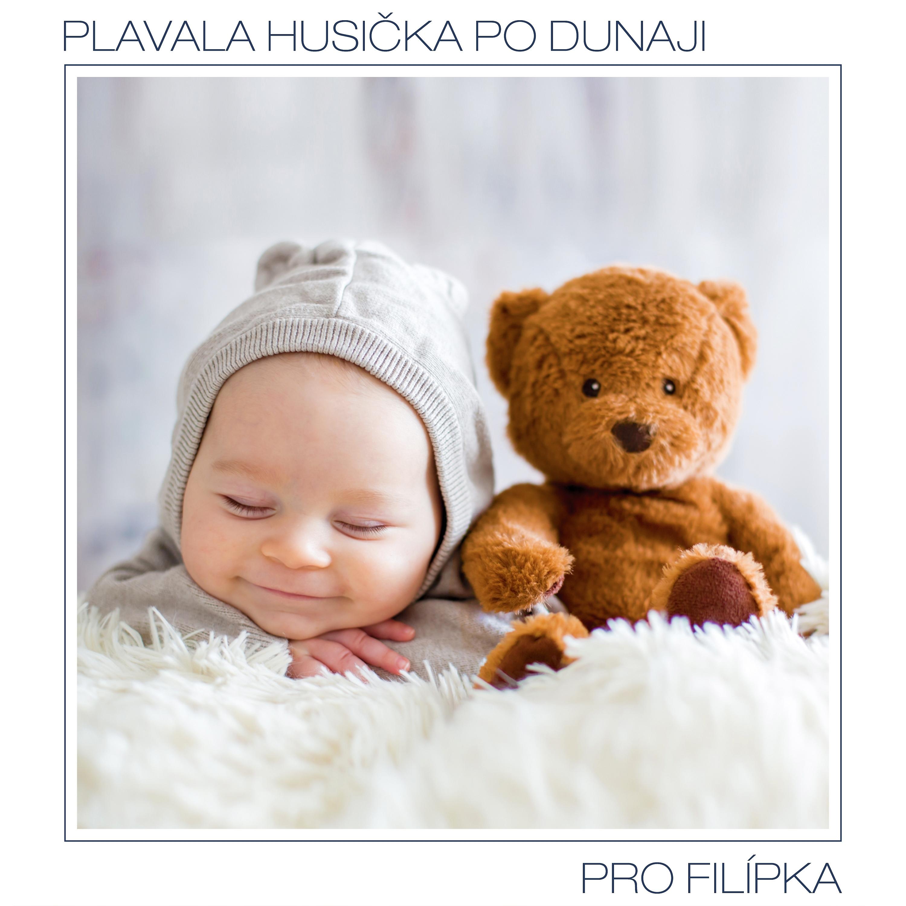 Постер альбома Plavala husička po dunaji