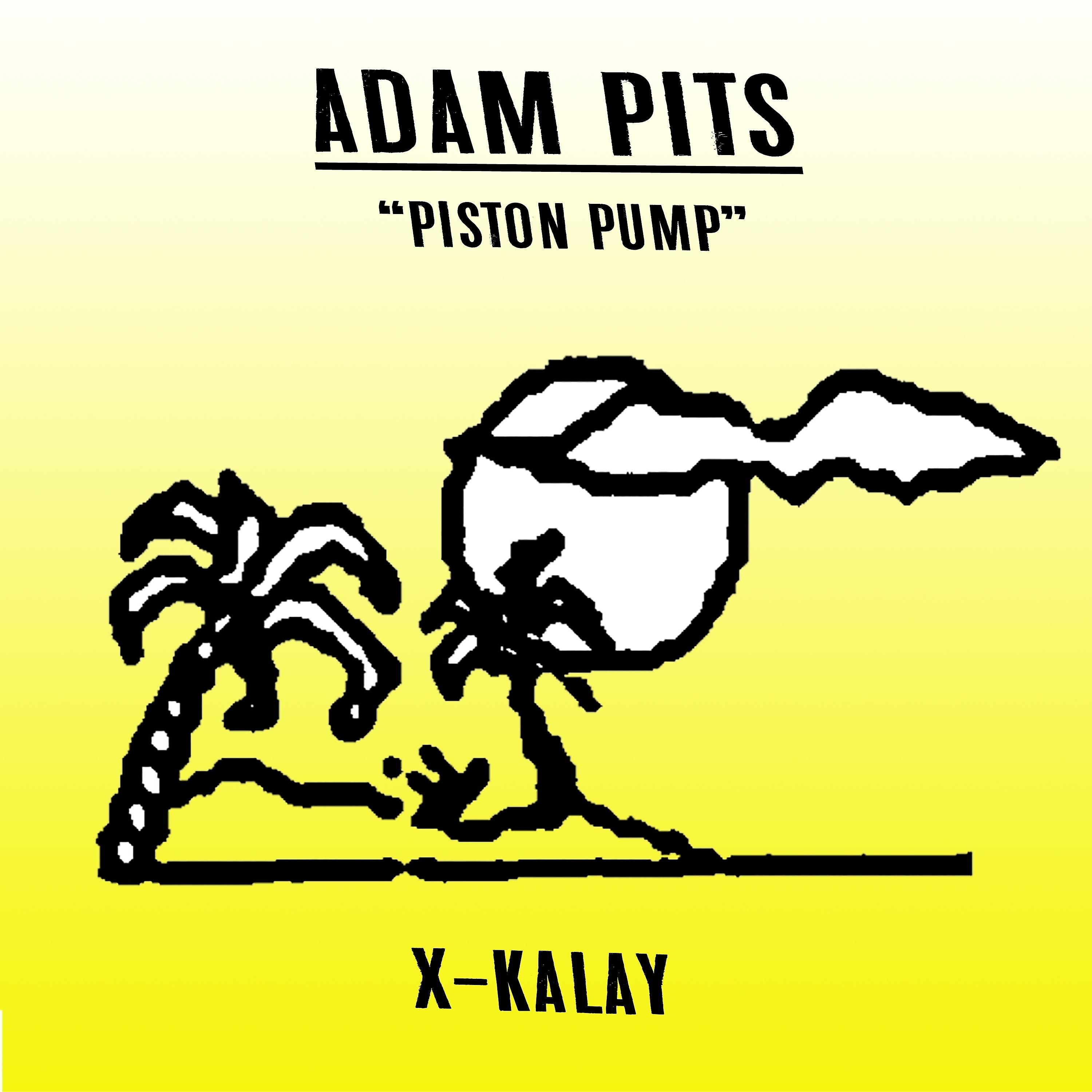 Постер альбома Piston Pump