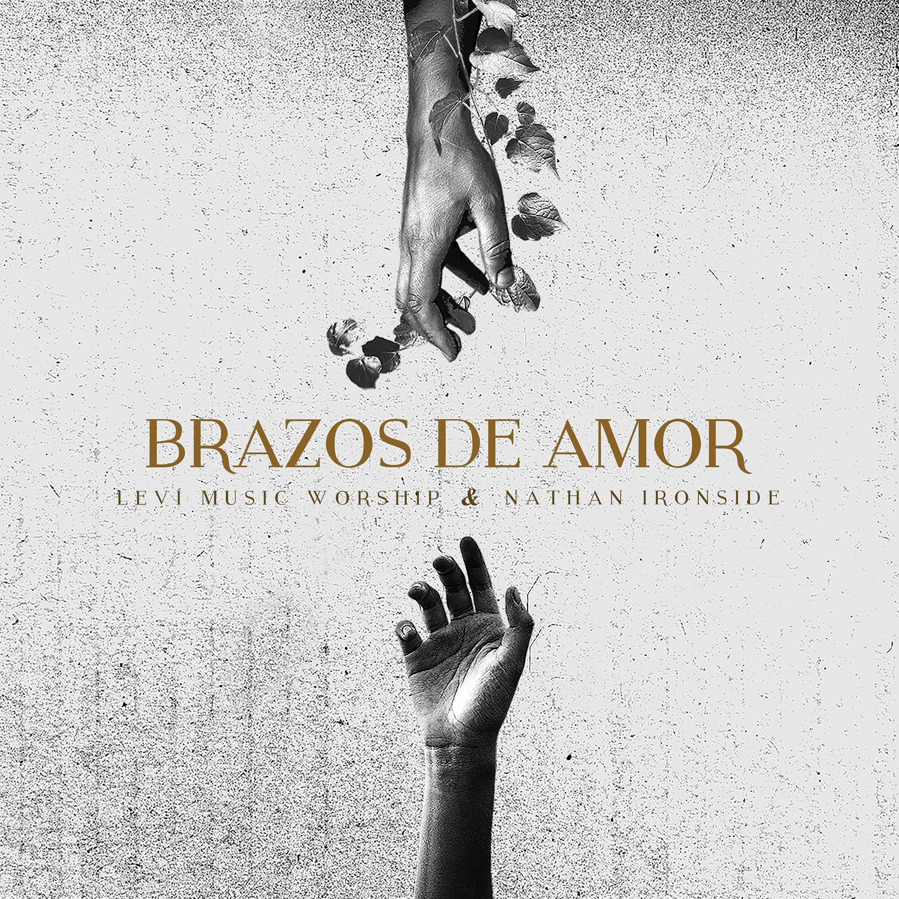 Постер альбома Brazos de Amor