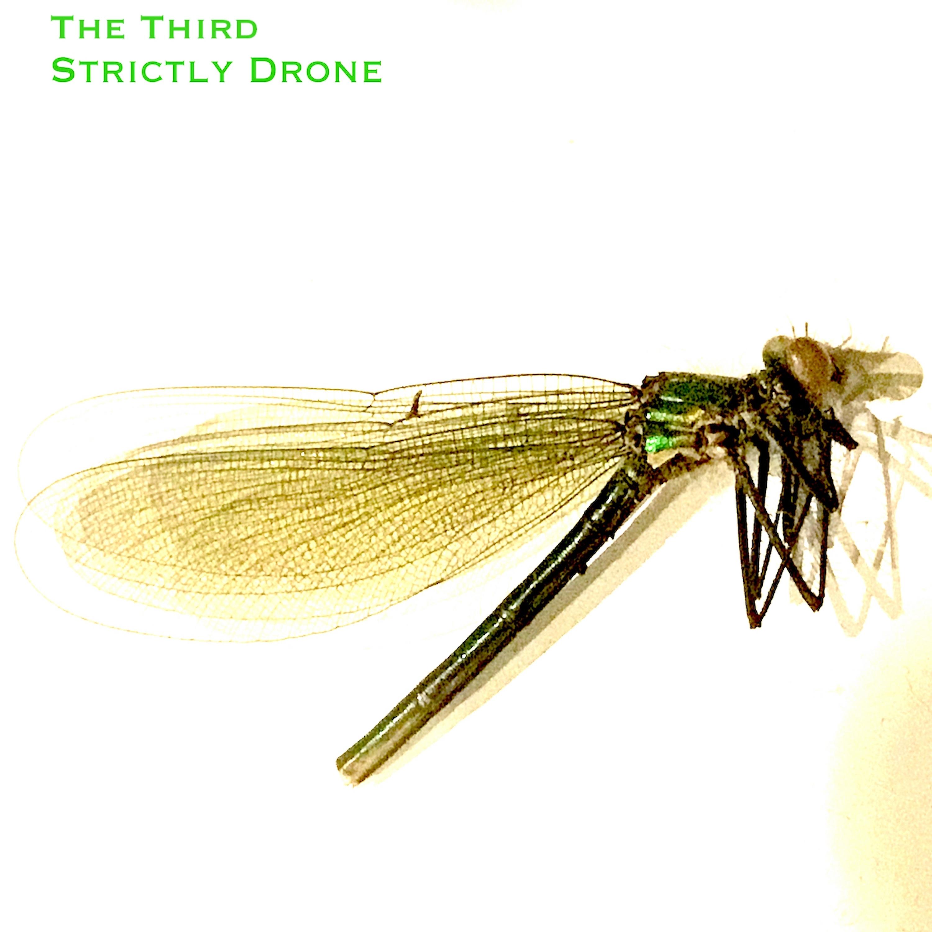 Постер альбома The Third Strictly Drone