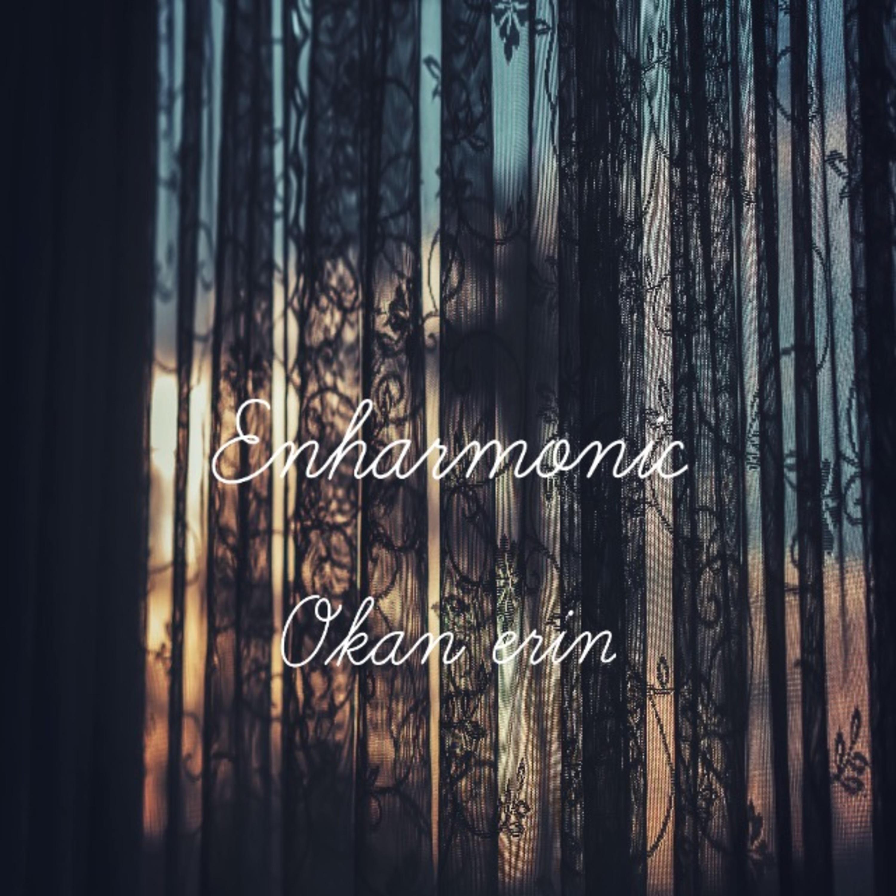 Постер альбома Enharmonic
