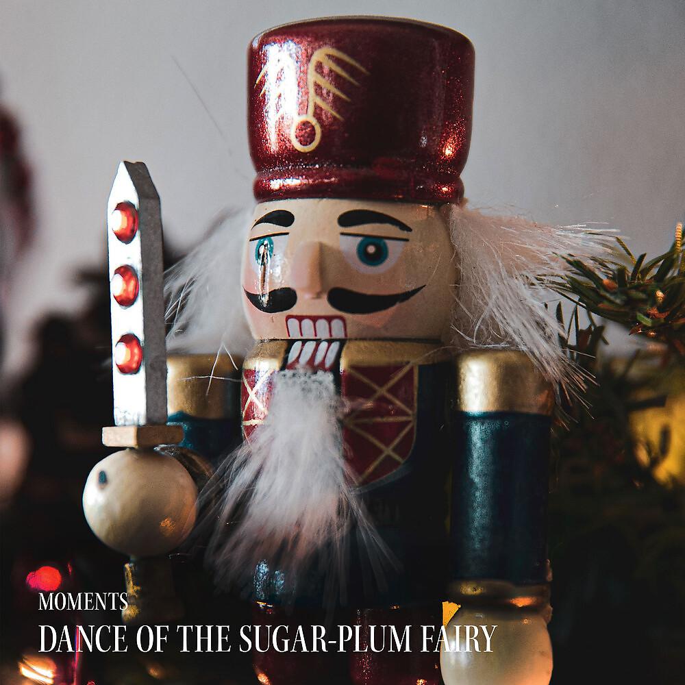 Постер альбома Dance of the Sugar-Plum Fairy