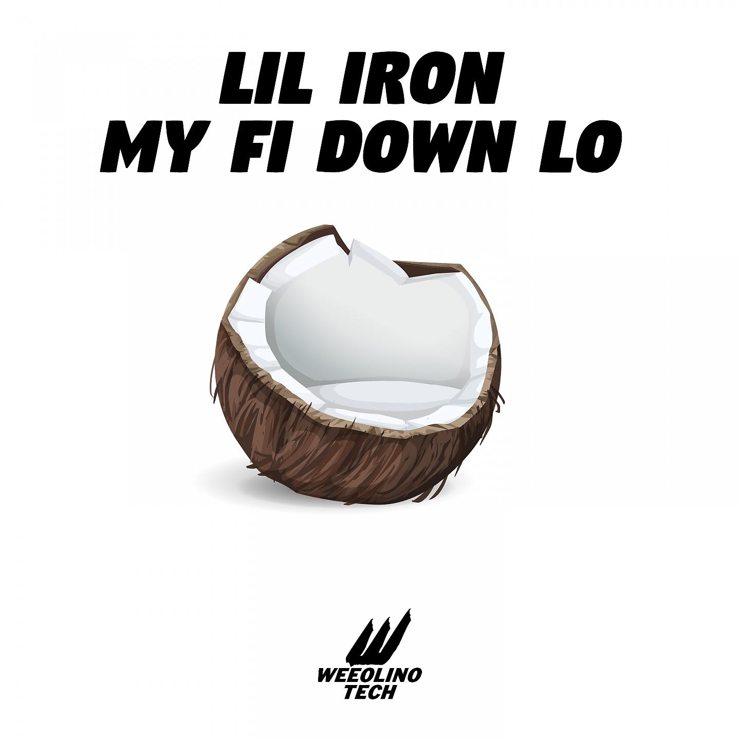 Постер альбома My Fi Down Lo