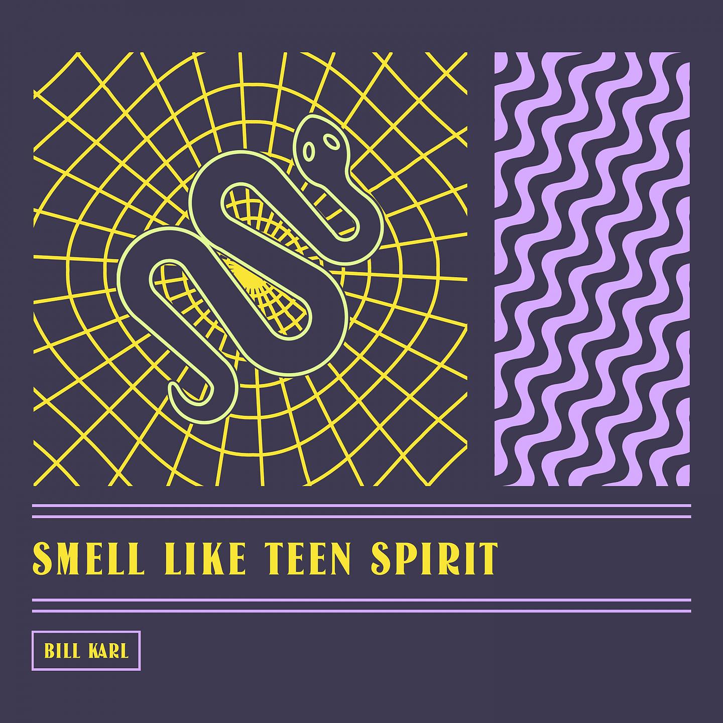 Постер альбома Smell Like Teen Spirit