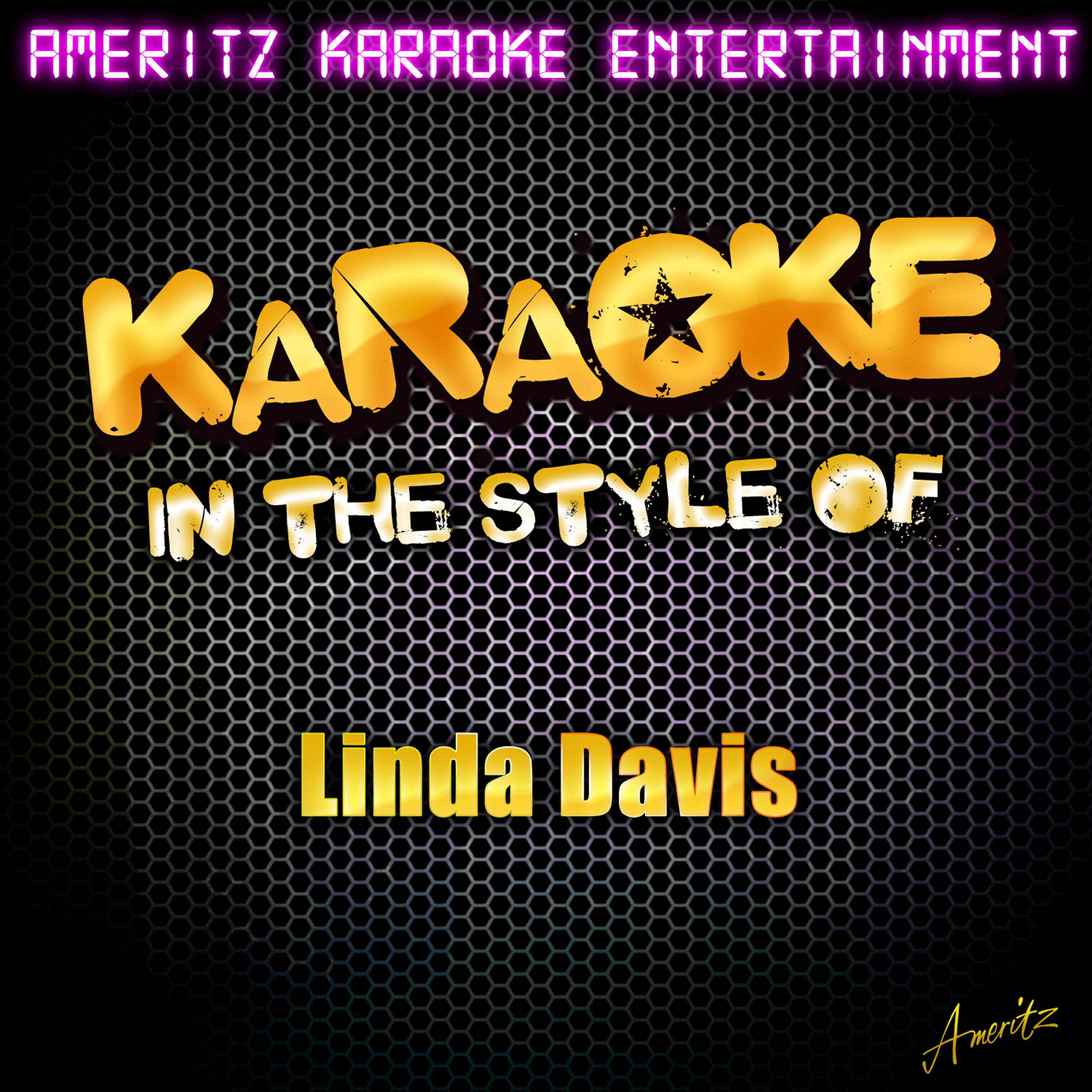 Ameritz Karaoke Entertainment - I Took the Torch Out of His Old Flame (Karaoke Version)