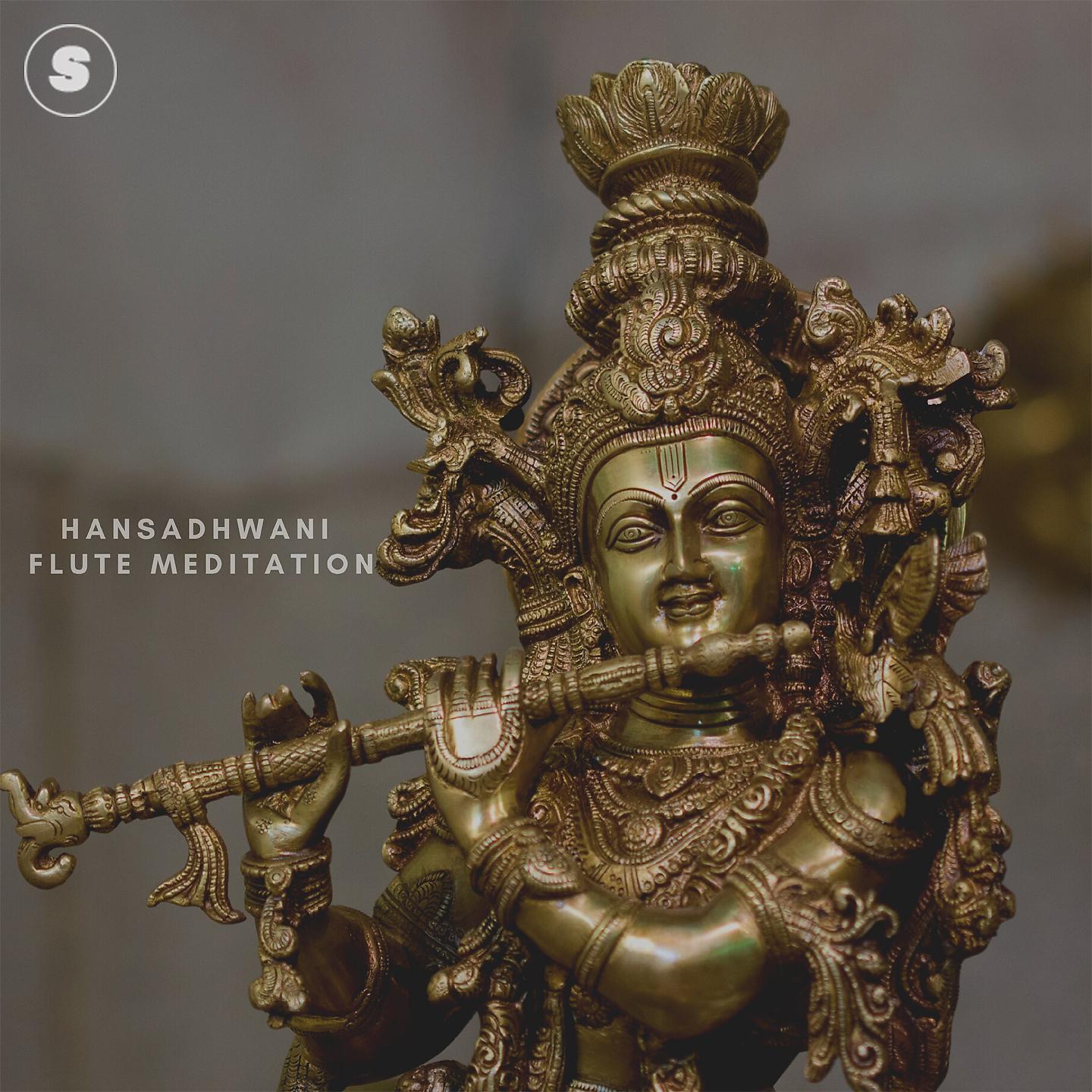 Постер альбома Hansadhwani Flute Meditation
