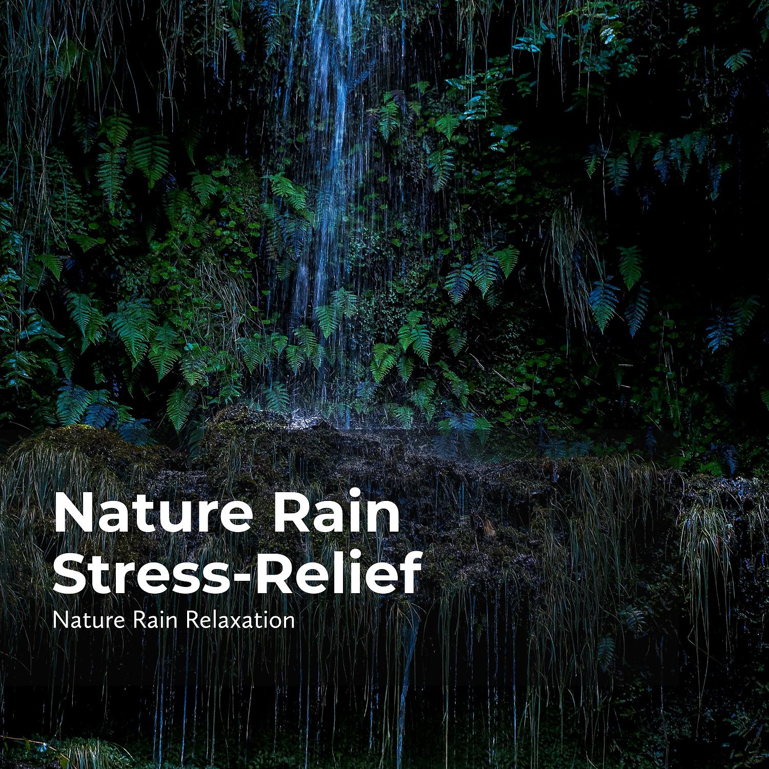 Постер альбома Nature Rain Stress-Relief