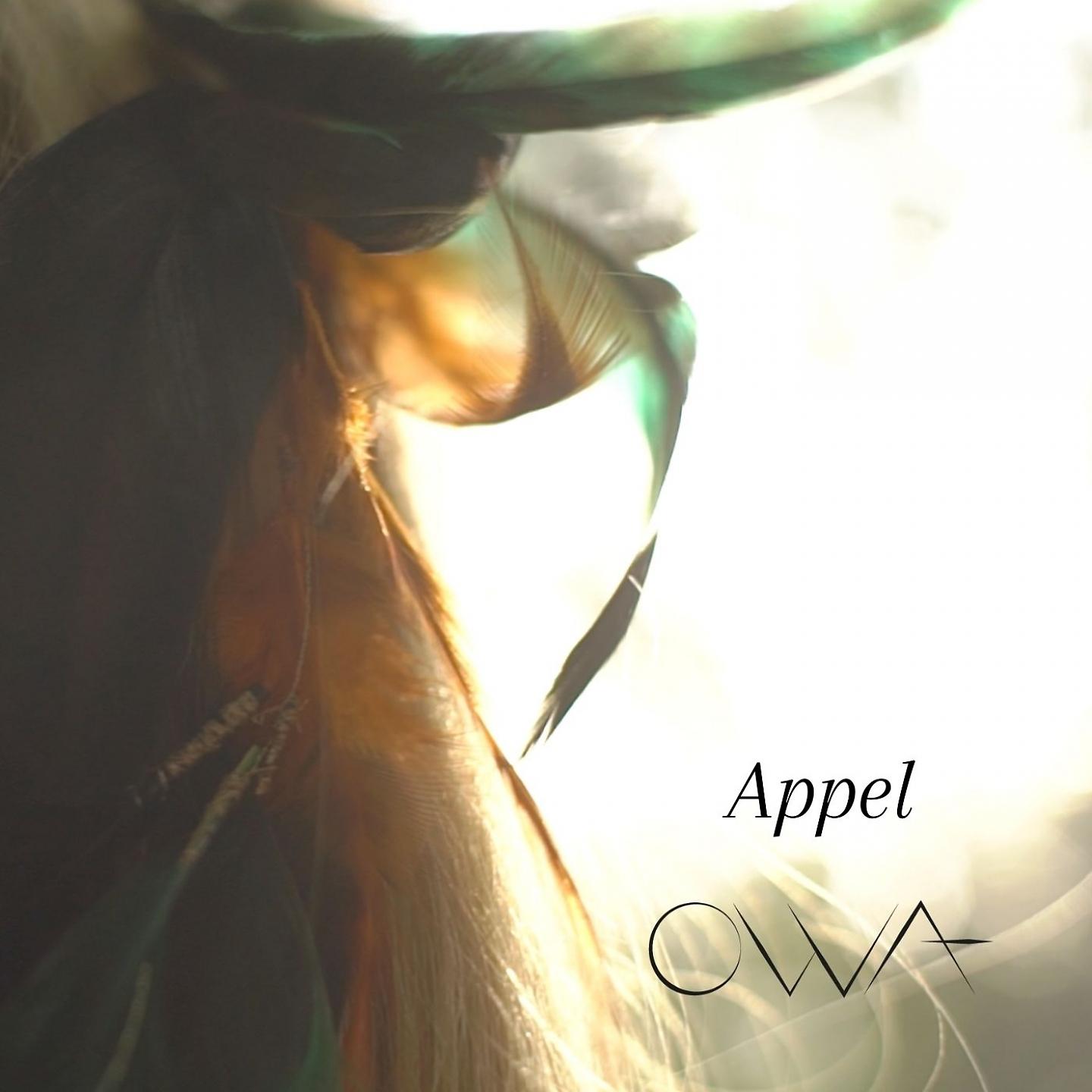 Постер альбома Appel