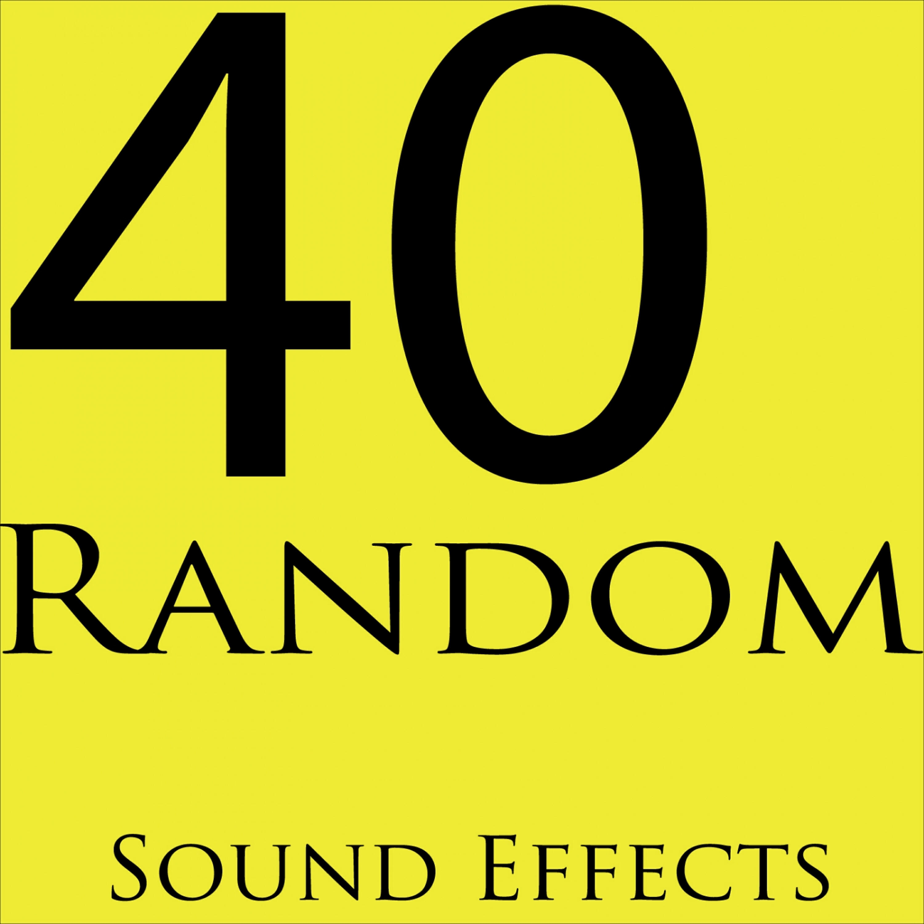 Random Sound Effects - A Monkey